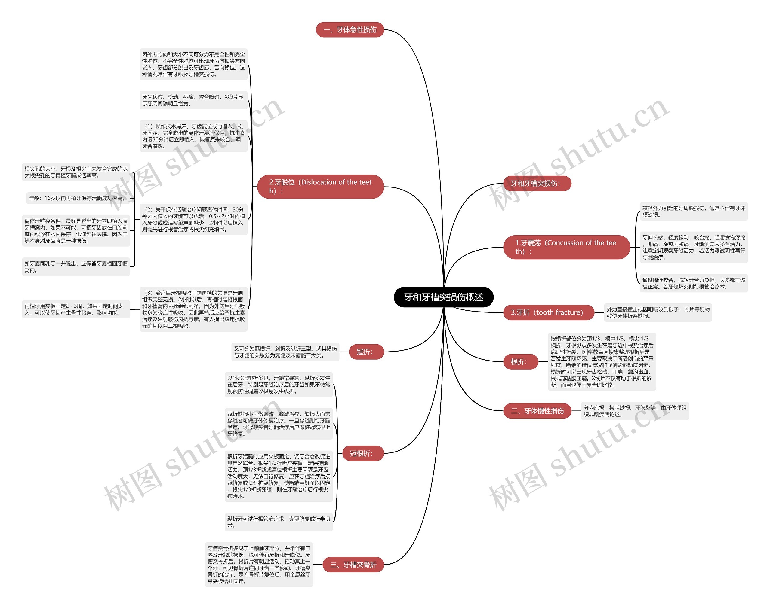牙和牙槽突损伤概述 牙和牙槽突损伤概述