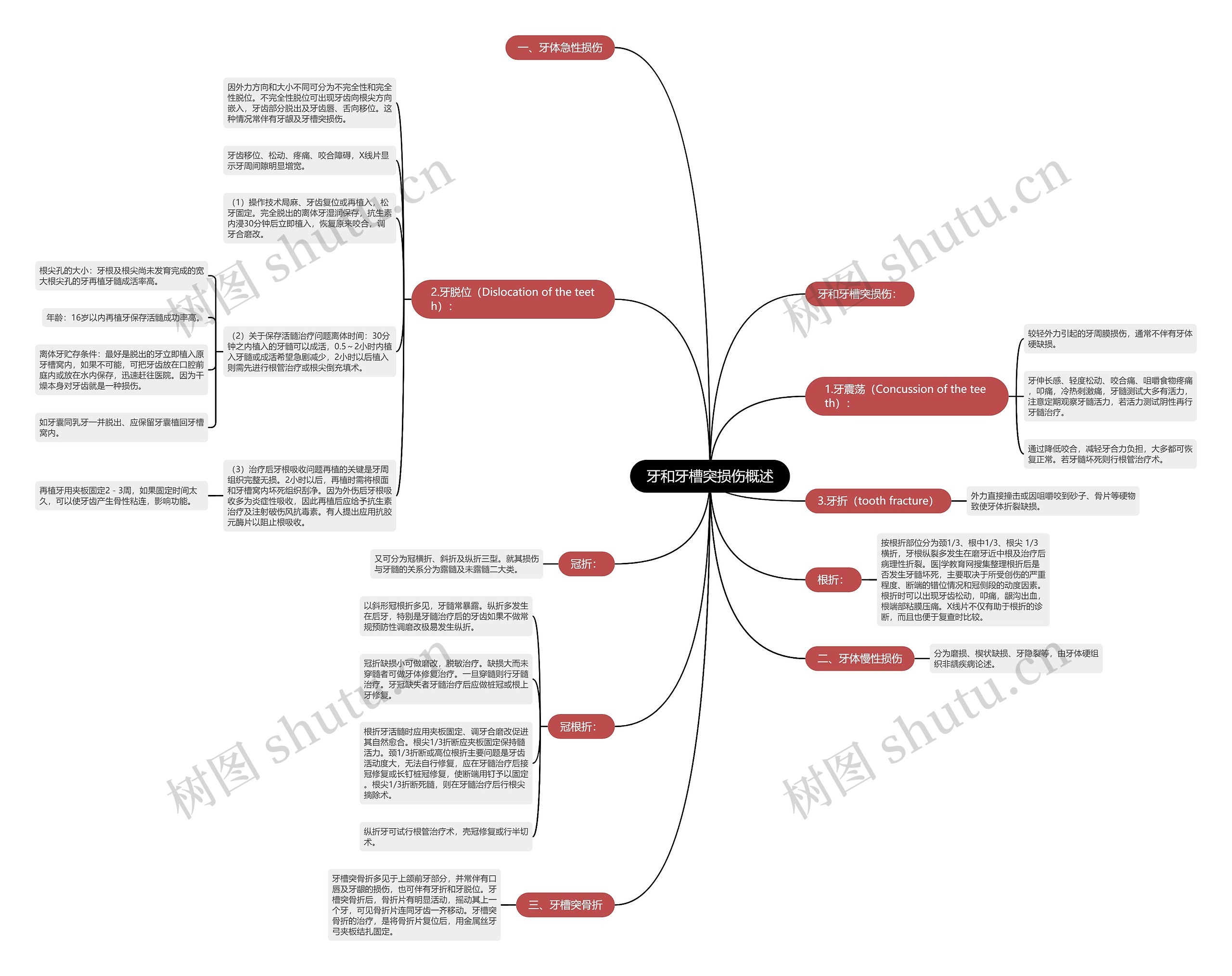 牙和牙槽突损伤概述思维导图