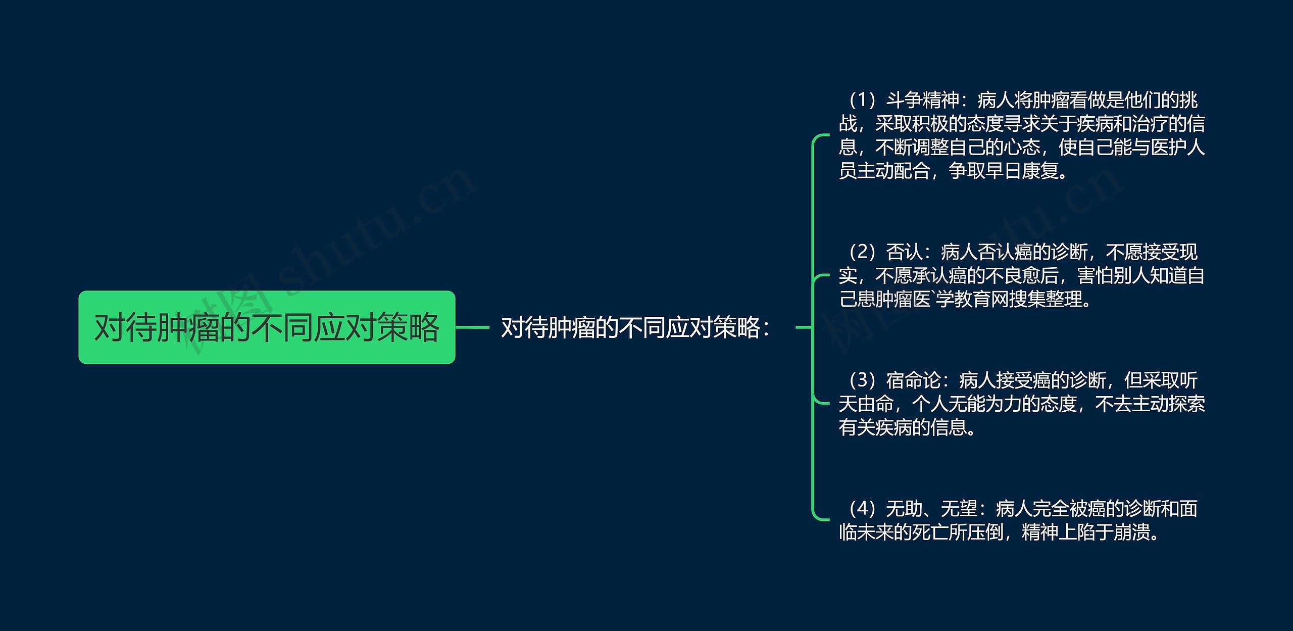 对待肿瘤的不同应对策略思维导图