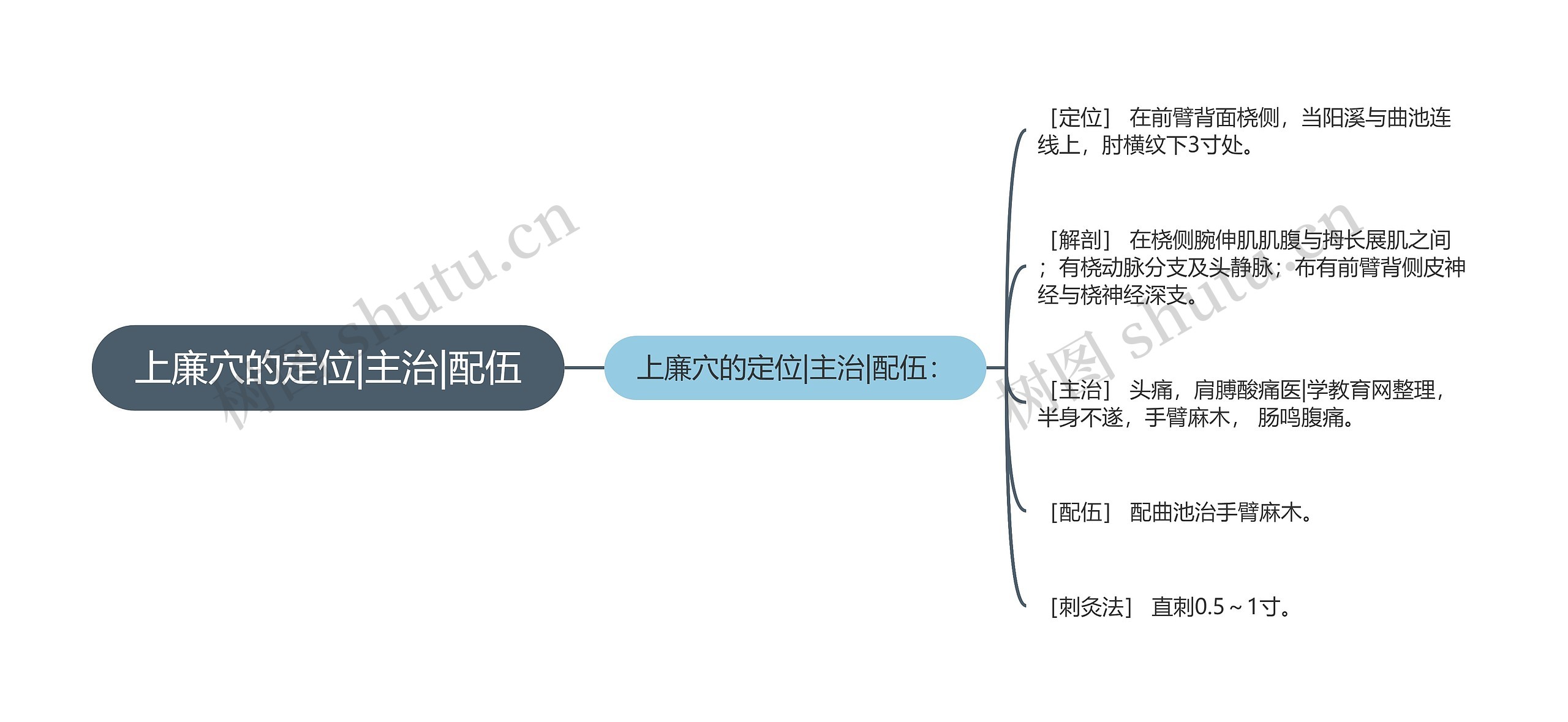 上廉穴的定位|主治|配伍思维导图