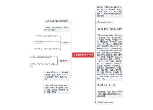 鼻血草的功效与作用