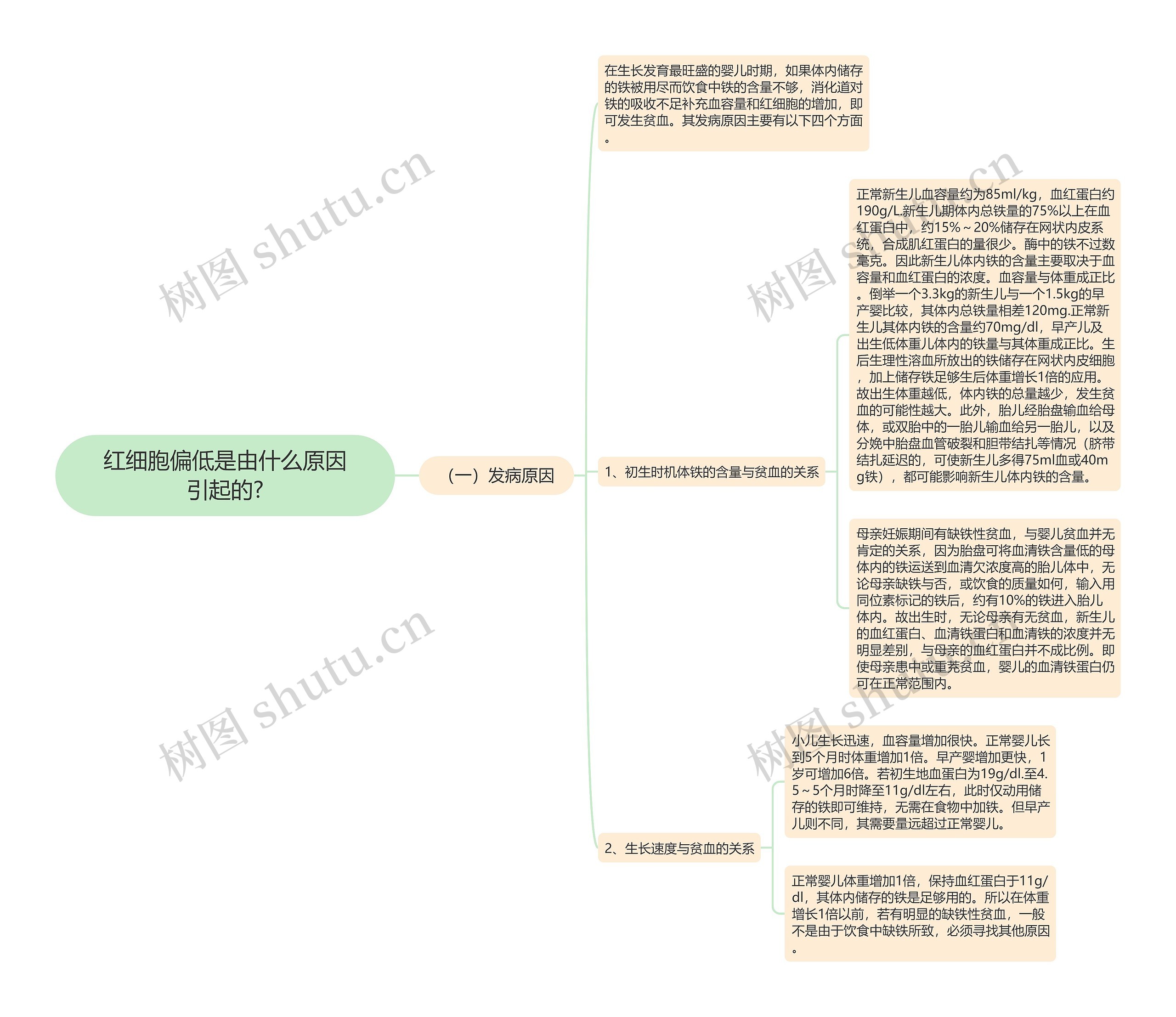 红细胞偏低是由什么原因引起的?思维导图