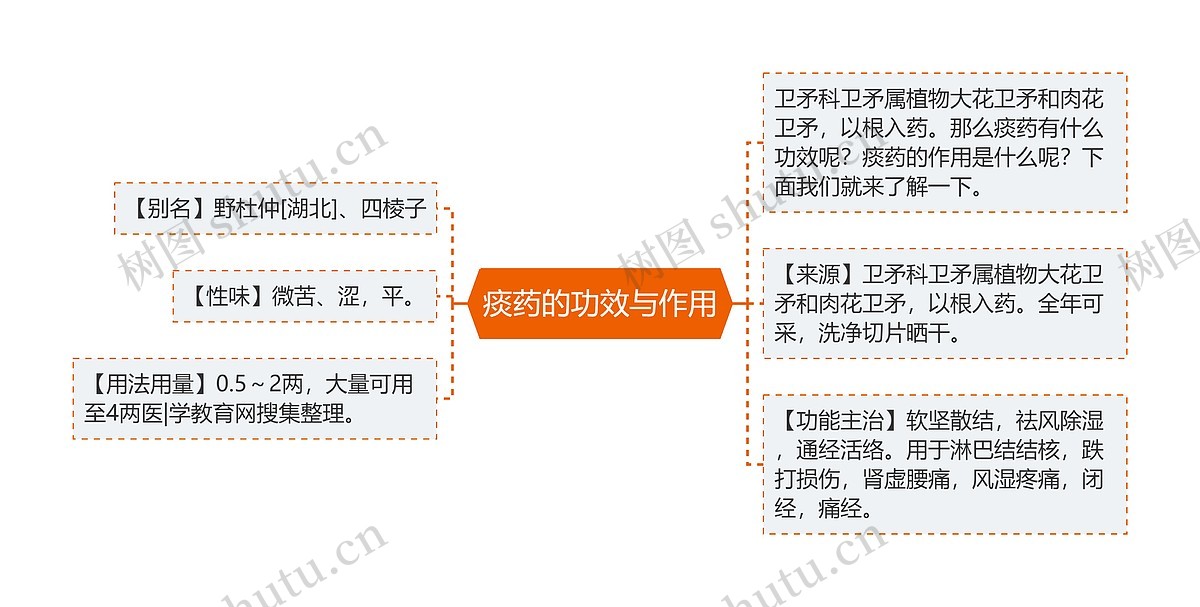 痰药的功效与作用思维导图_编号p6808028-TreeMind树图