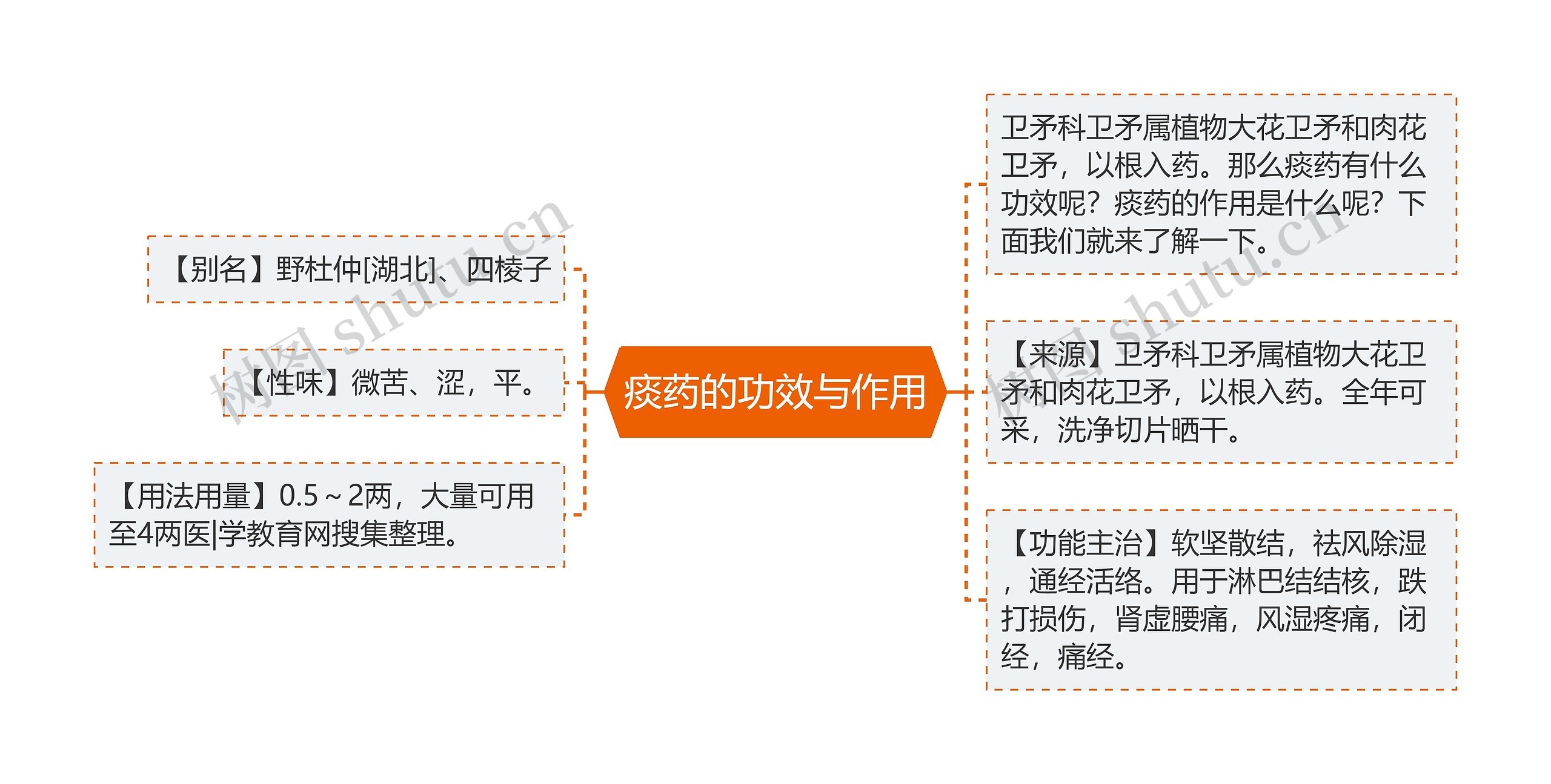 痰药的功效与作用