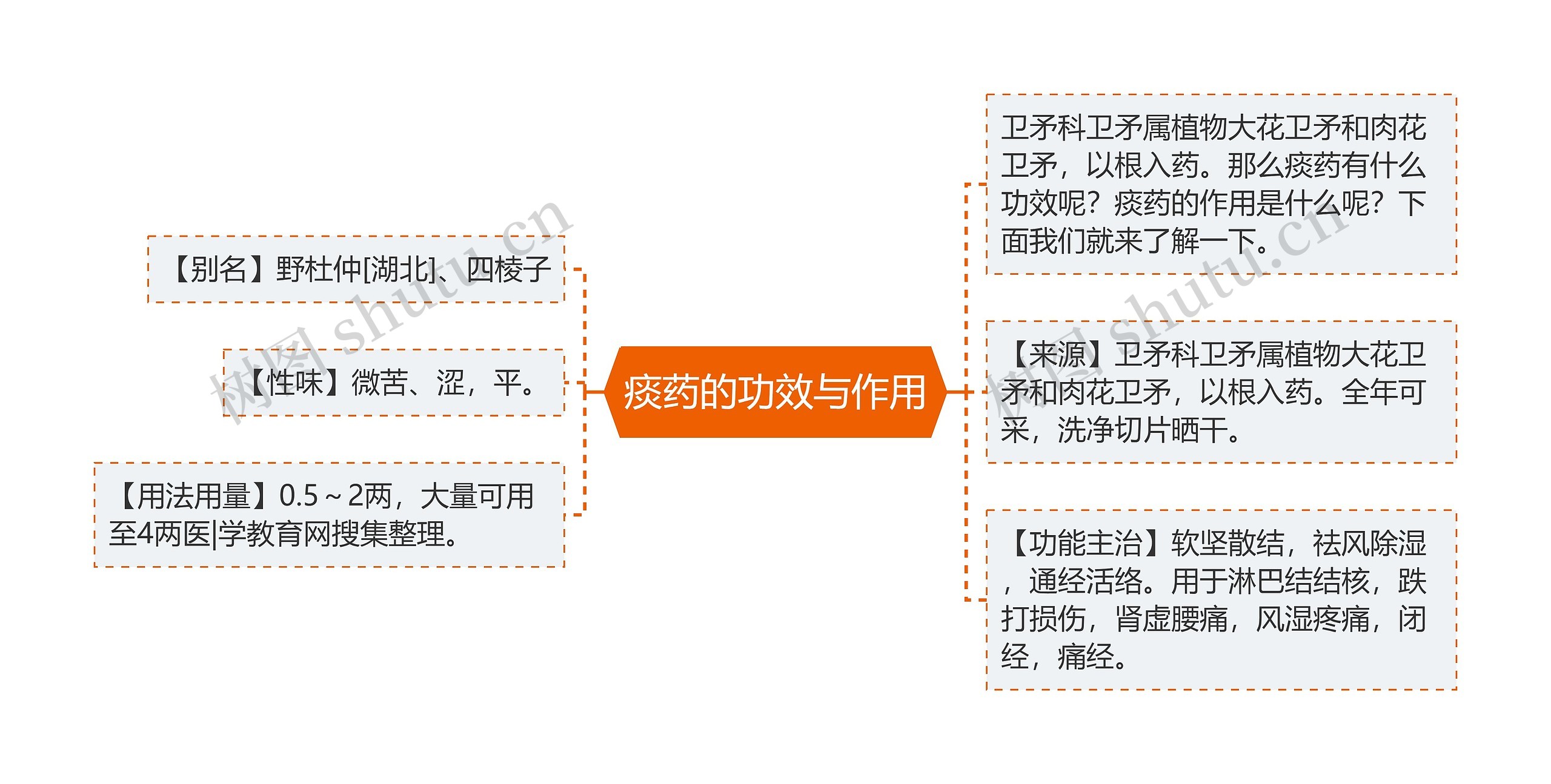 痰药的功效与作用思维导图