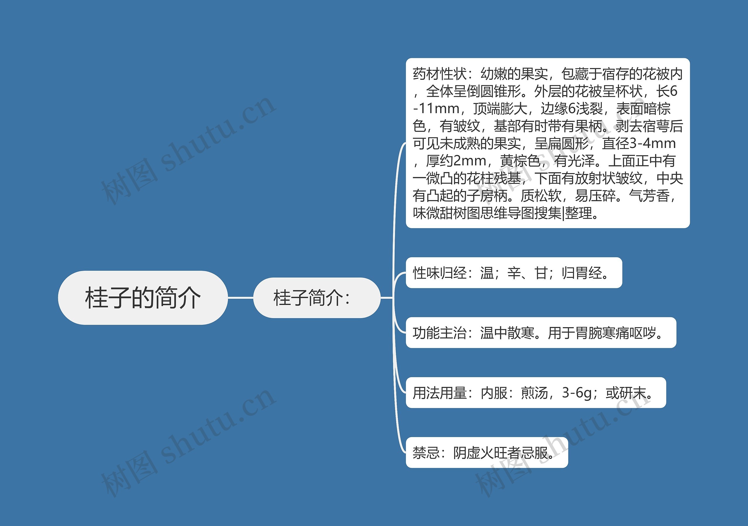 桂子的简介思维导图