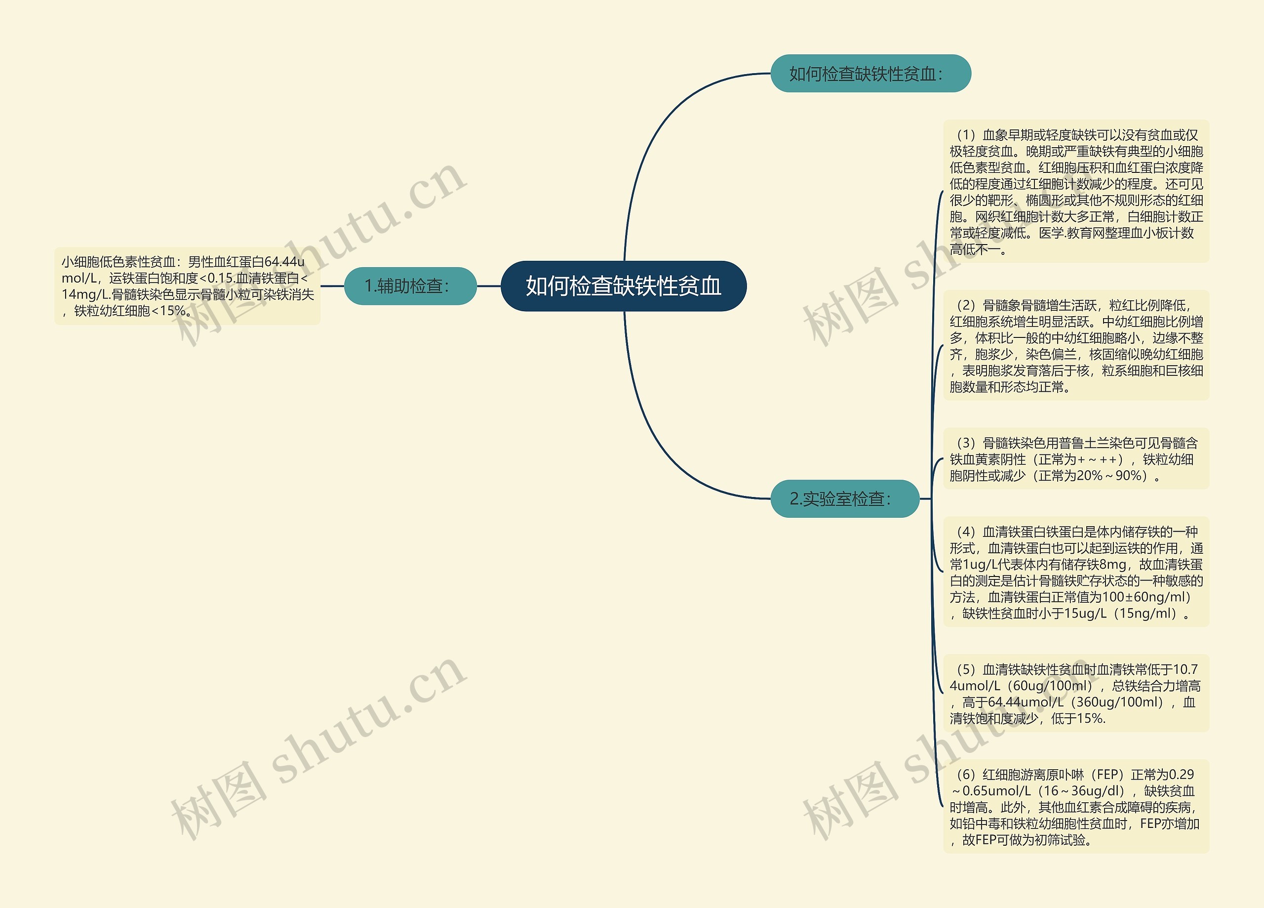 如何检查缺铁性贫血思维导图