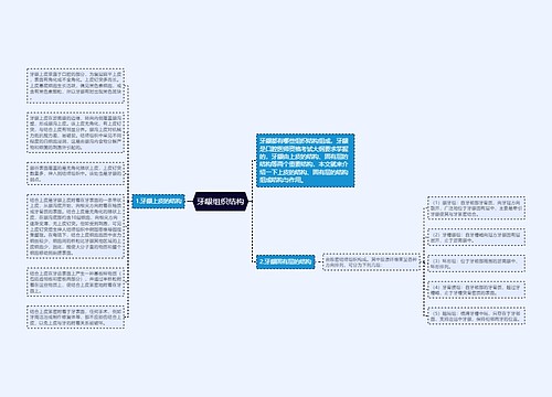 牙龈组织结构