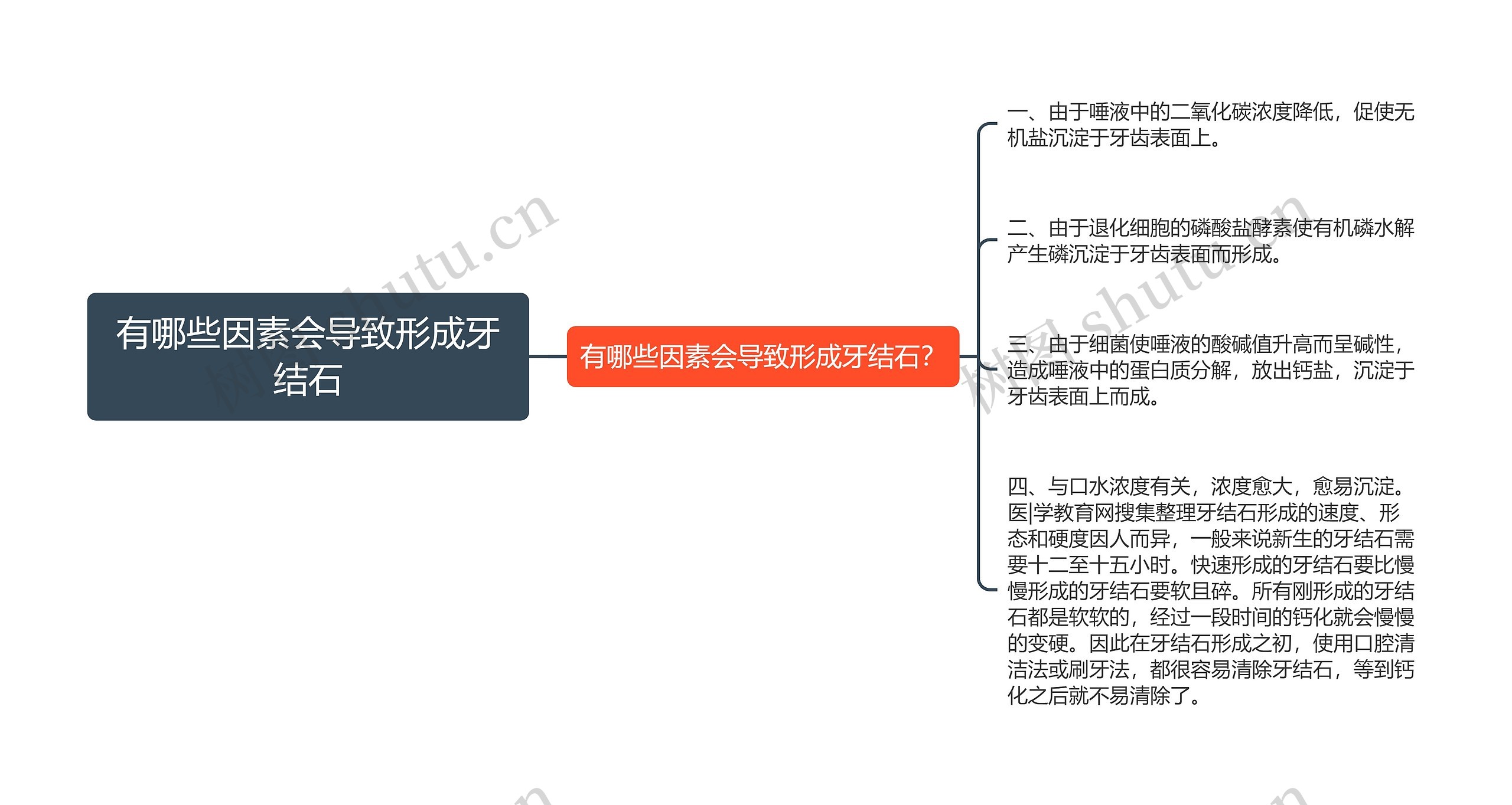 有哪些因素会导致形成牙结石思维导图