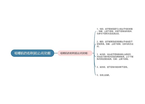 咀嚼肌的名称|起止点|功能