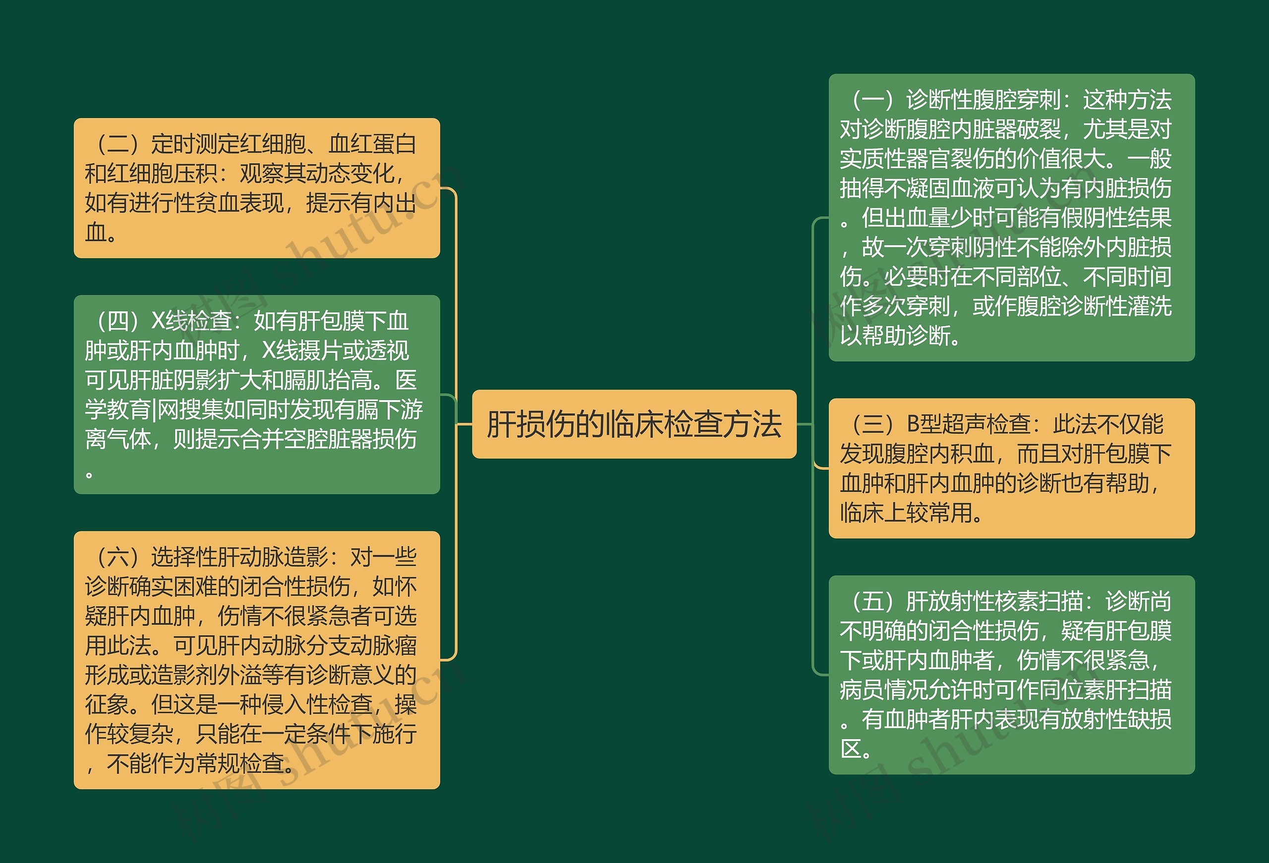 肝损伤的临床检查方法思维导图