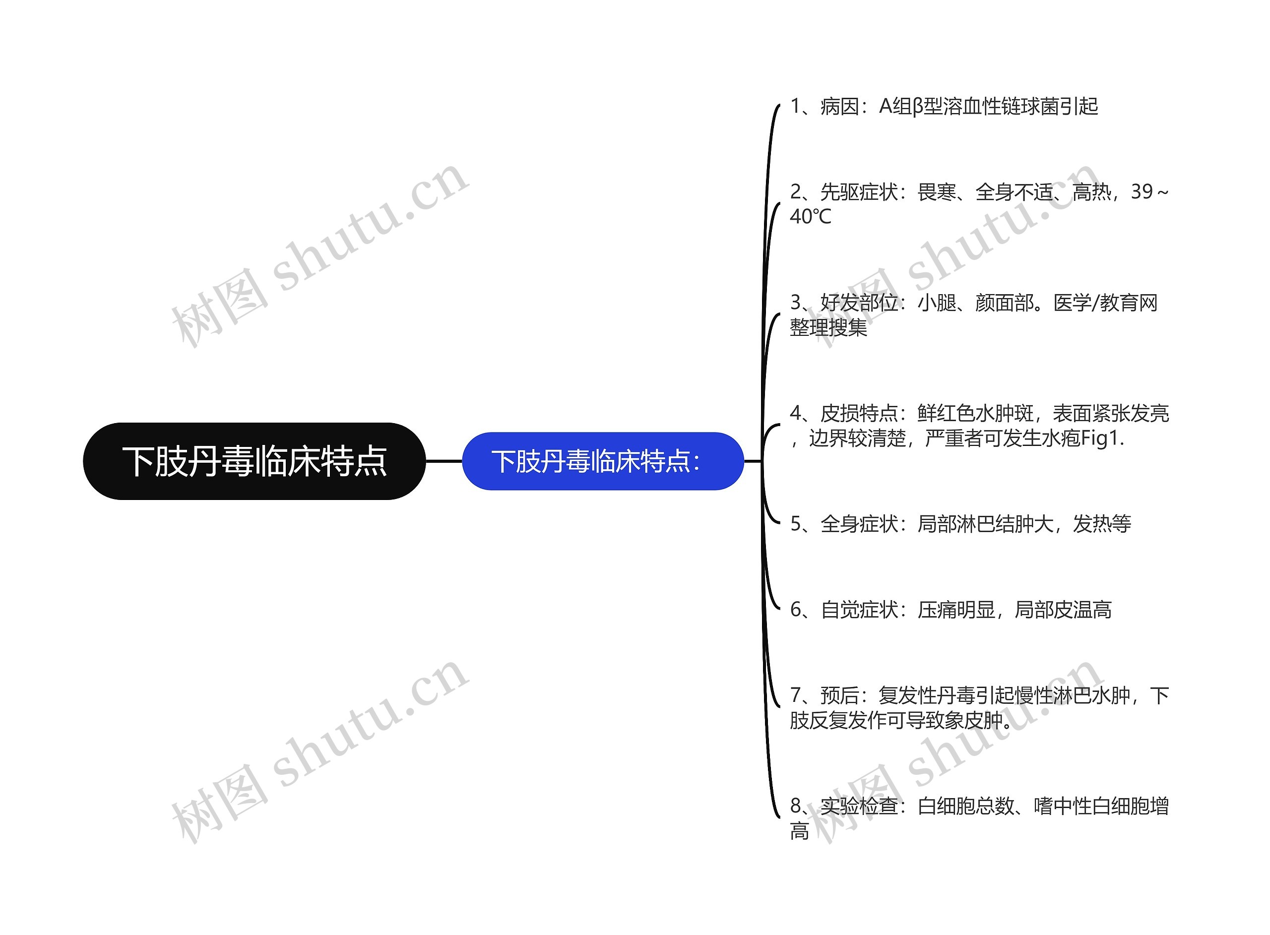 下肢丹毒临床特点