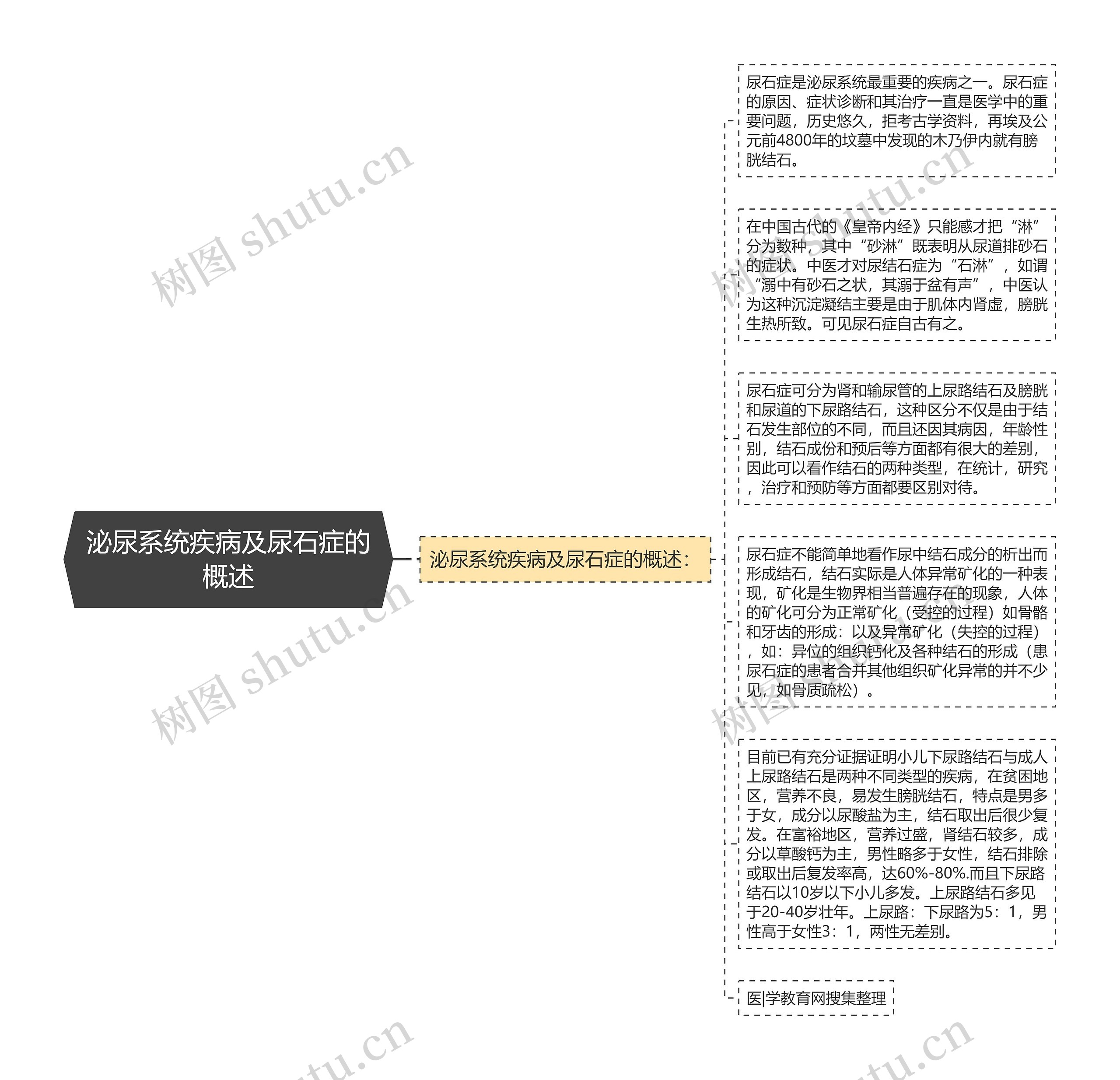 泌尿系统疾病及尿石症的概述思维导图