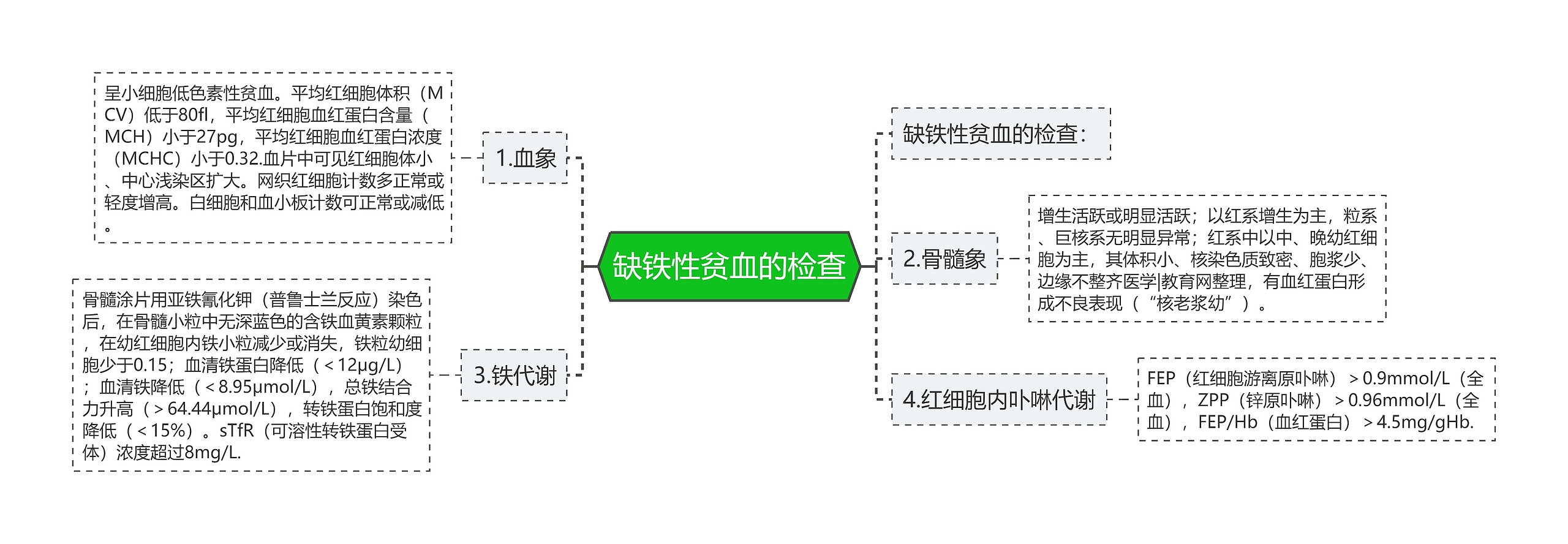 缺铁性贫血的检查 缺铁性贫血的检查