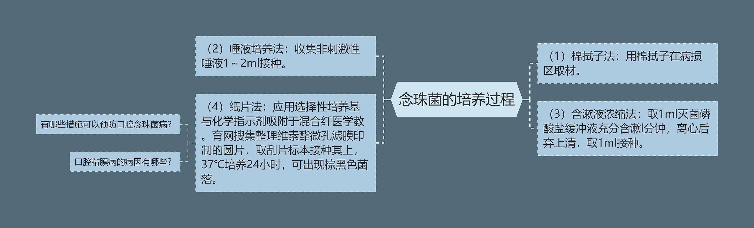 念珠菌的培养过程 念珠菌的培养过程