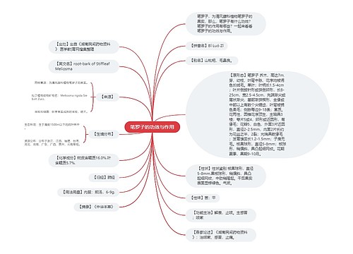 笔罗子的功效与作用