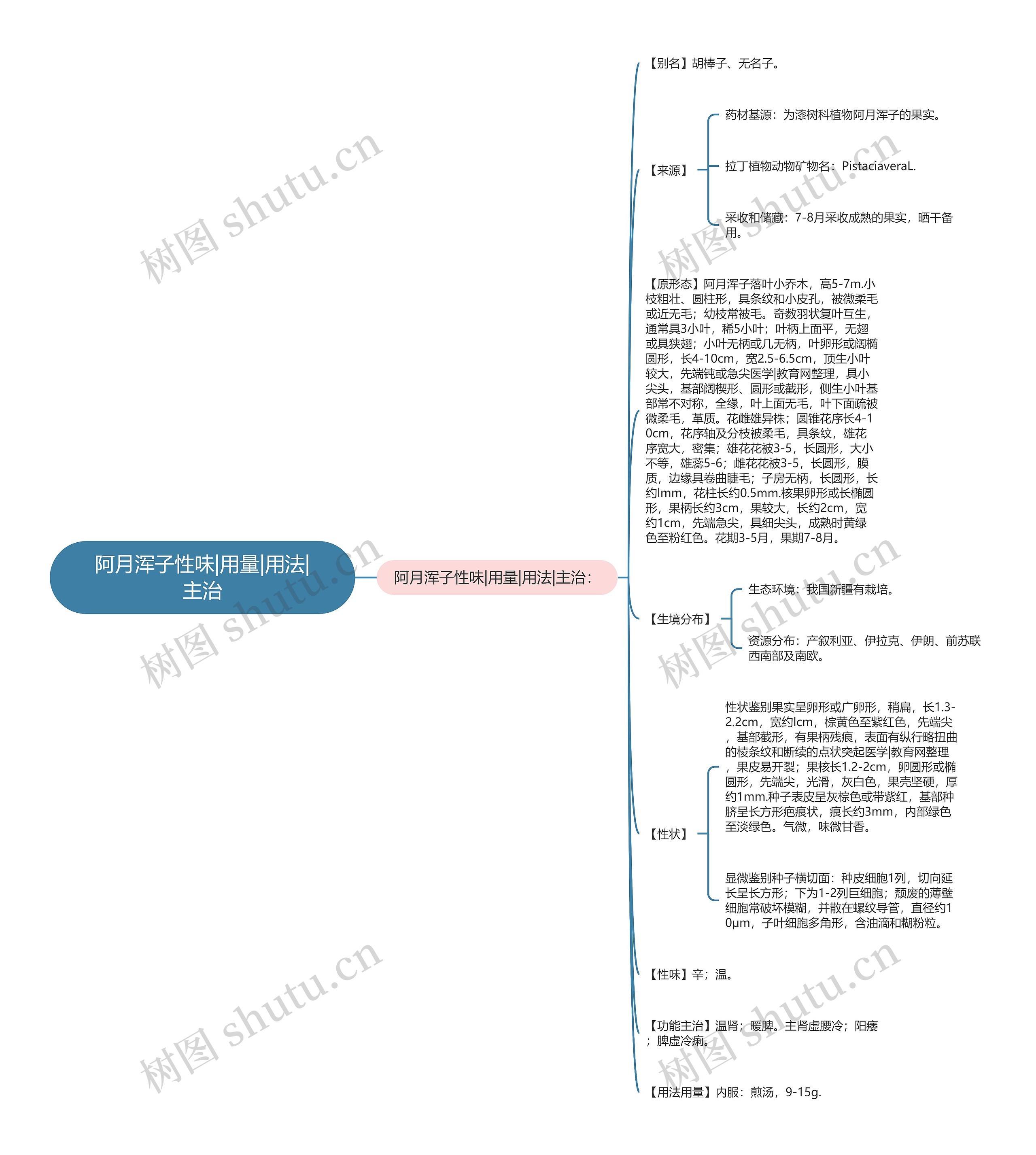 阿月浑子性味|用量|用法|主治 阿月浑子性味|用量|用法|主治