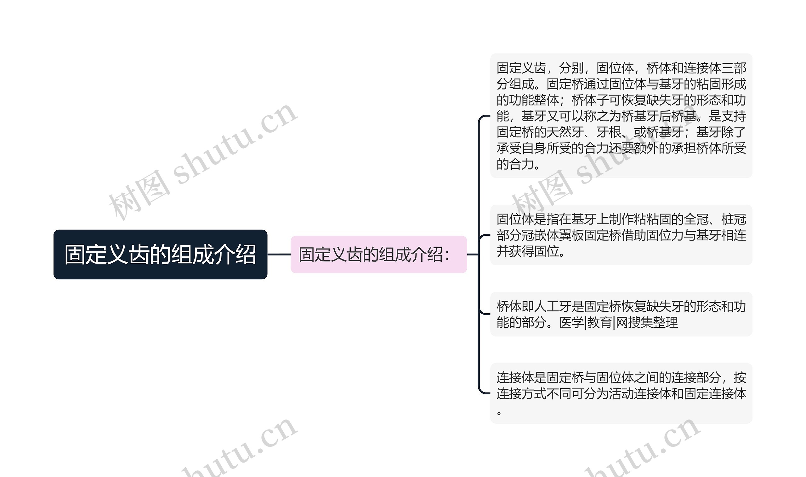 固定义齿的组成介绍思维导图