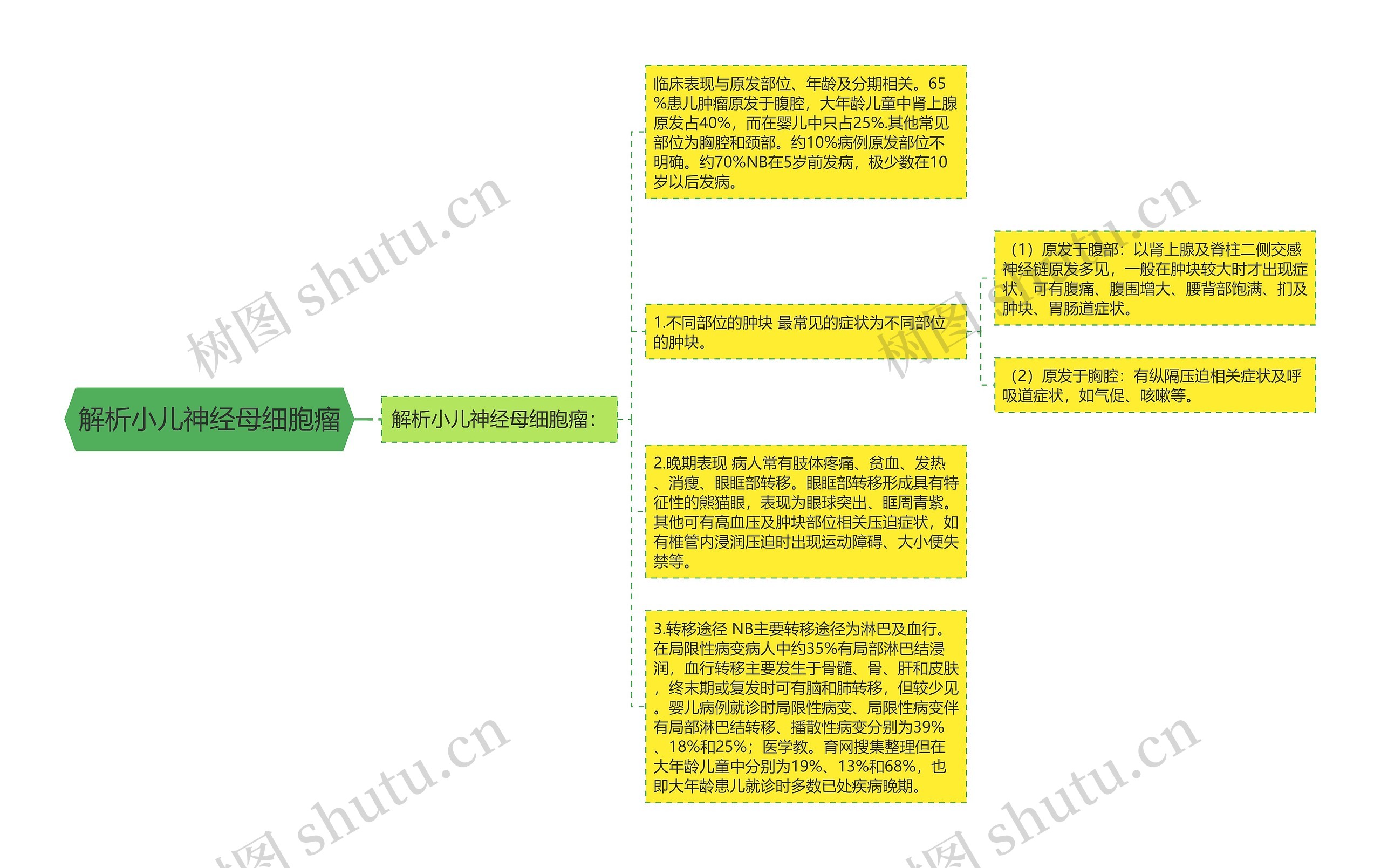 解析小儿神经母细胞瘤