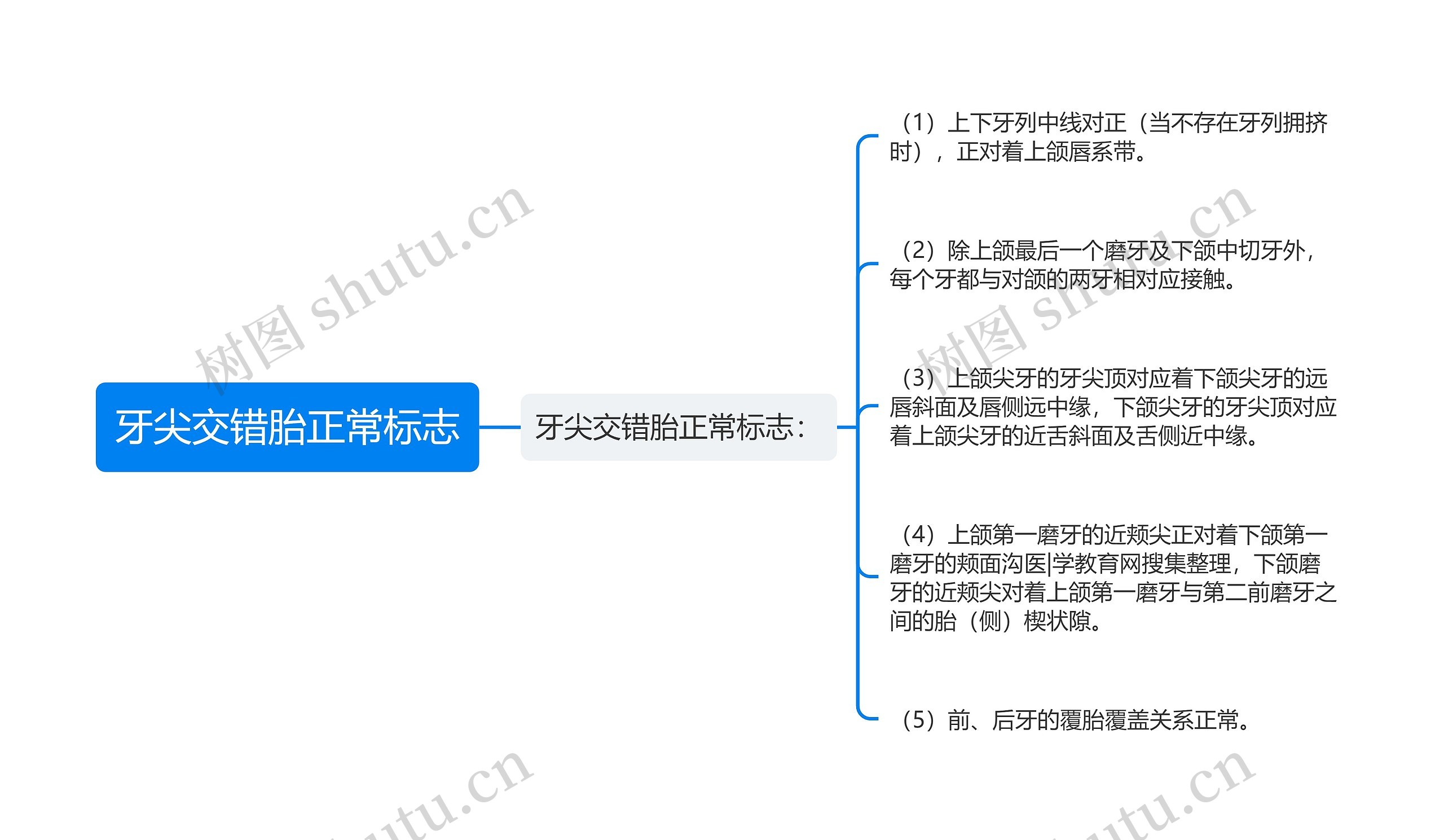 牙尖交错胎正常标志