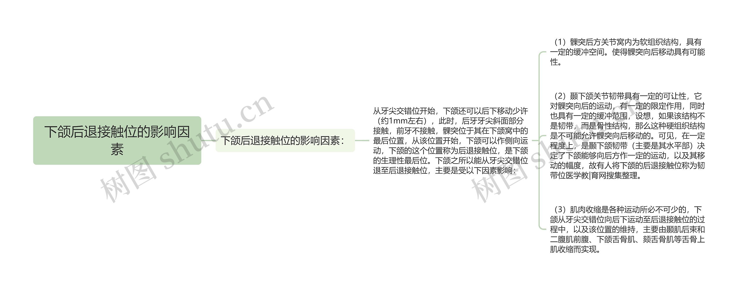 下颌后退接触位的影响因素 下颌后退接触位的影响因素