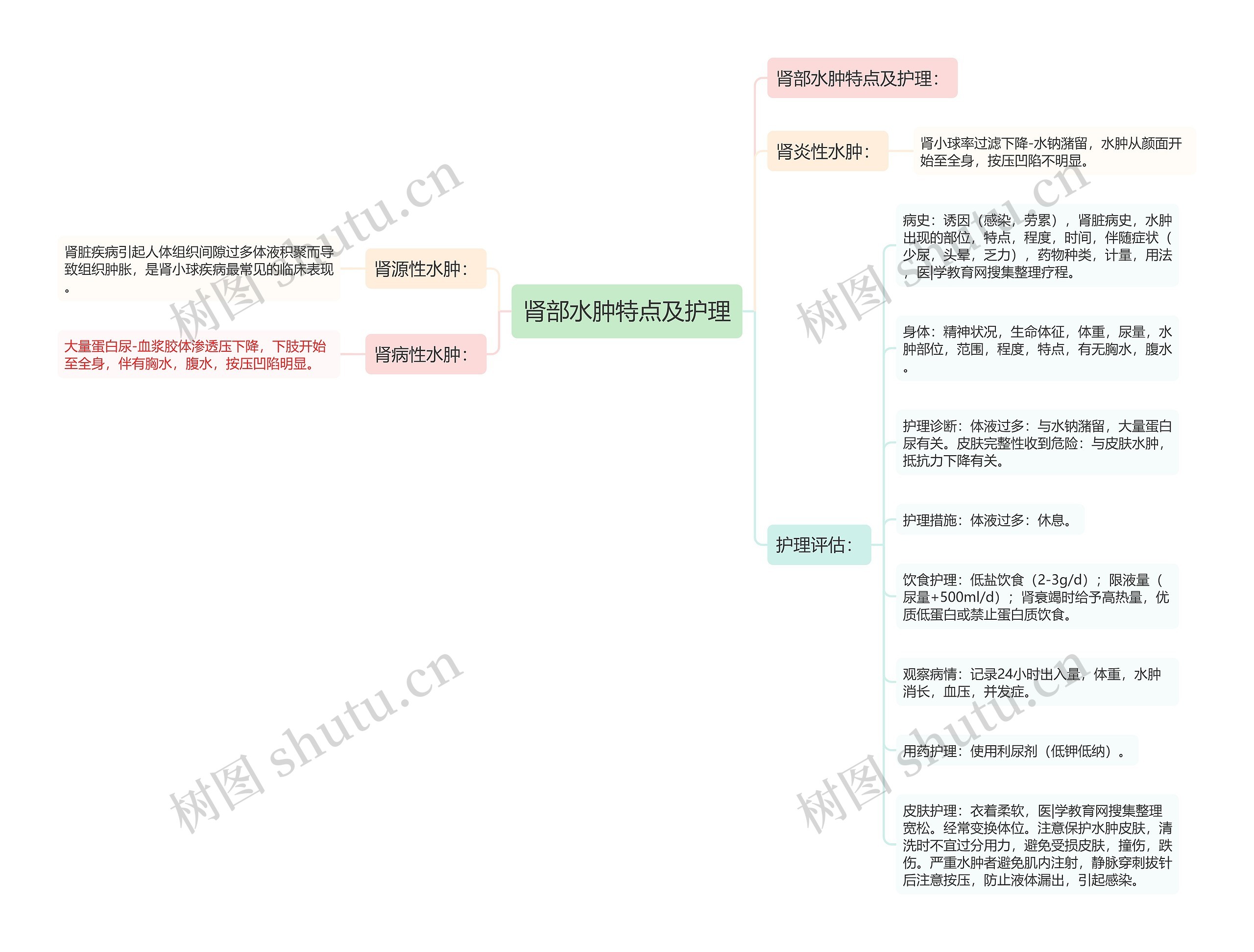 肾部水肿特点及护理思维导图