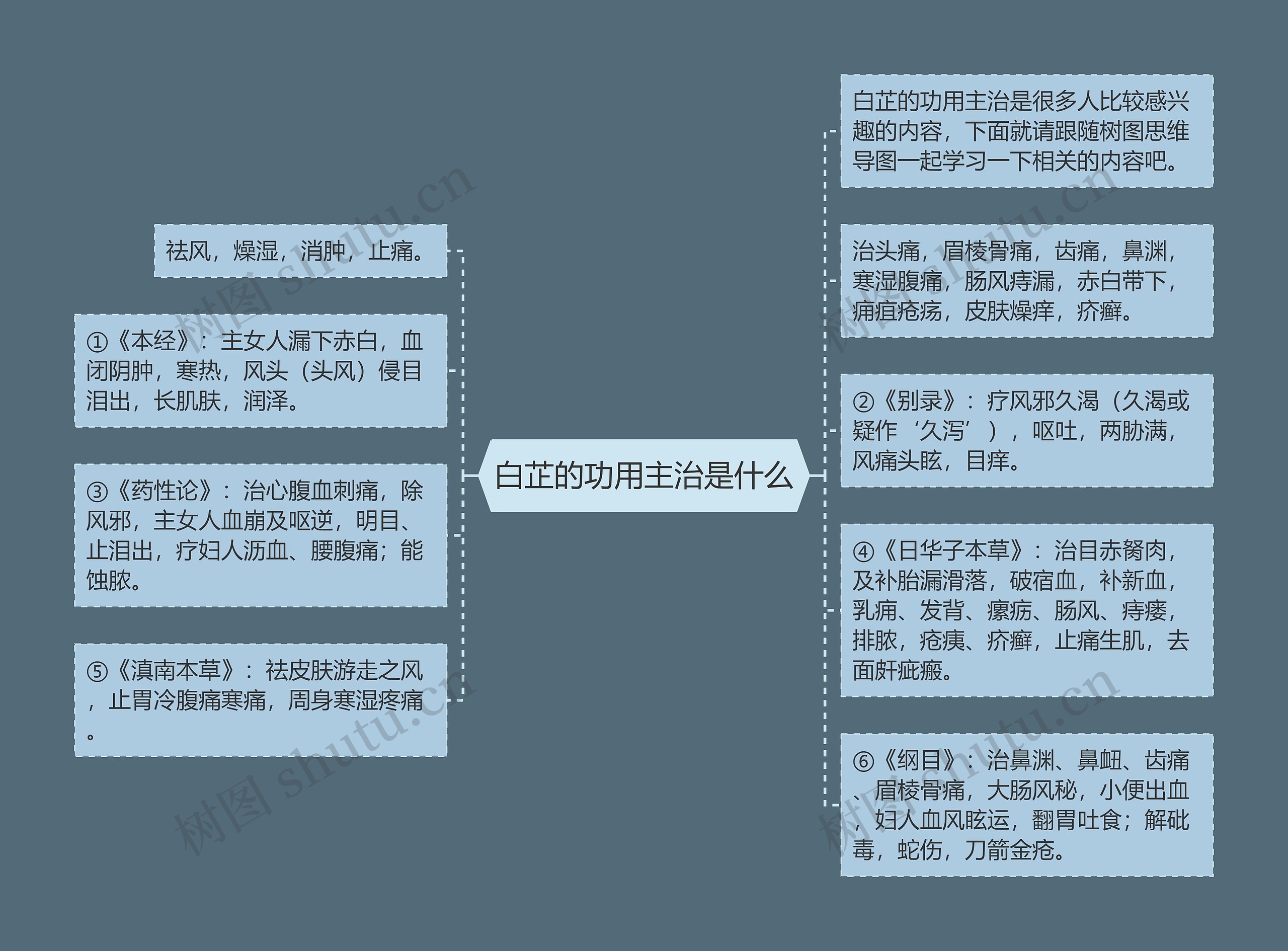 白芷的功用主治是什么