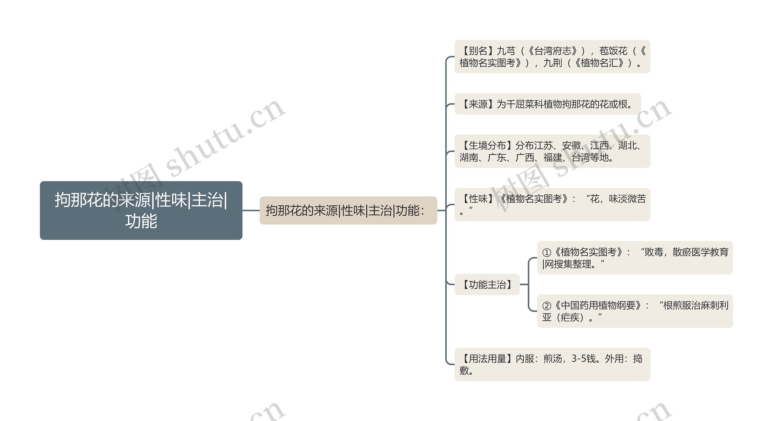 拘那花的来源|性味|主治|功能思维导图