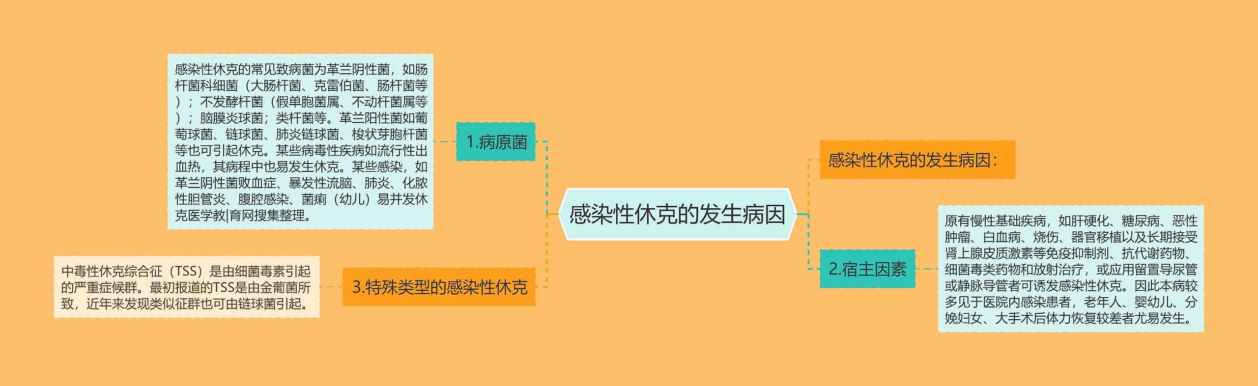 感染性休克的发生病因
