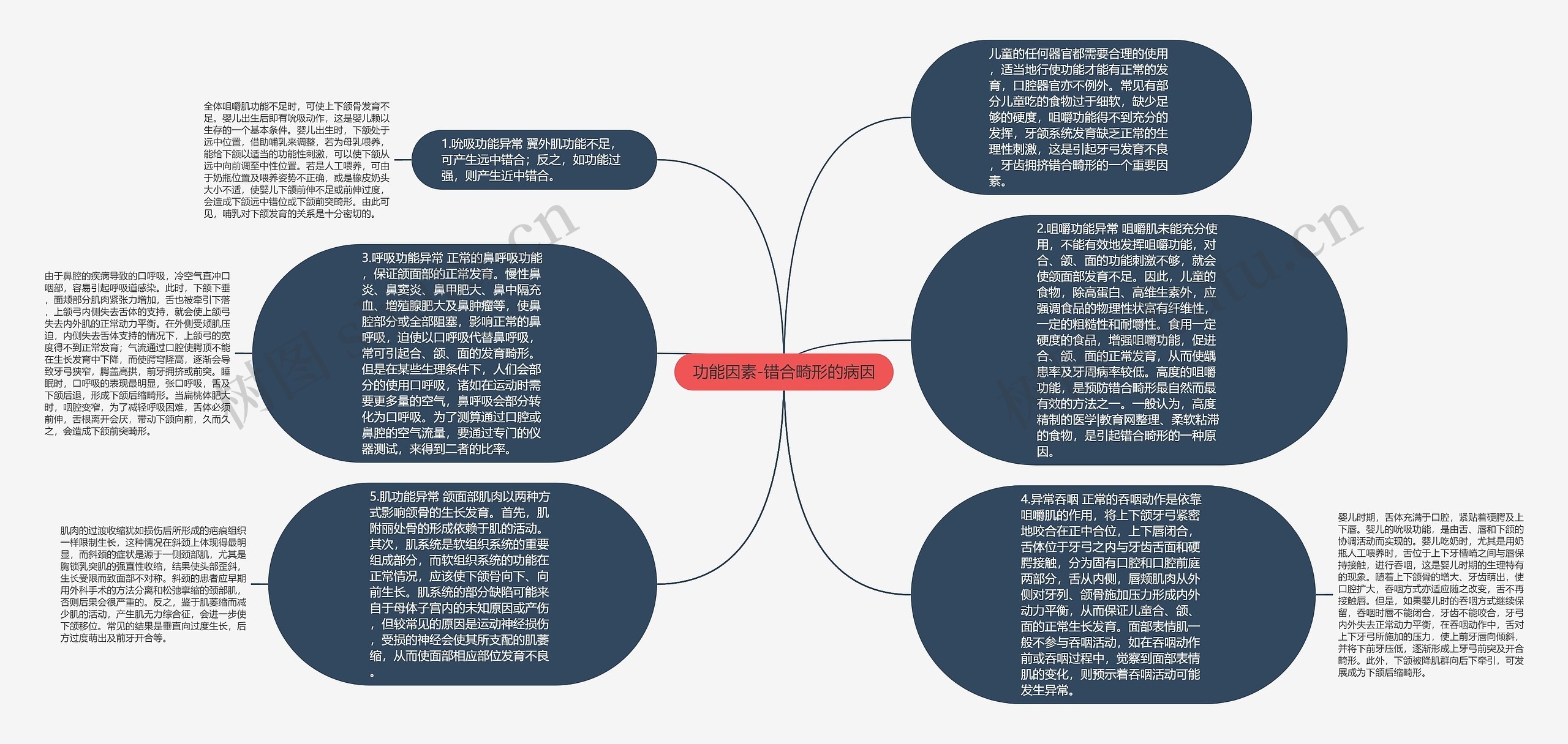 功能因素-错合畸形的病因思维导图