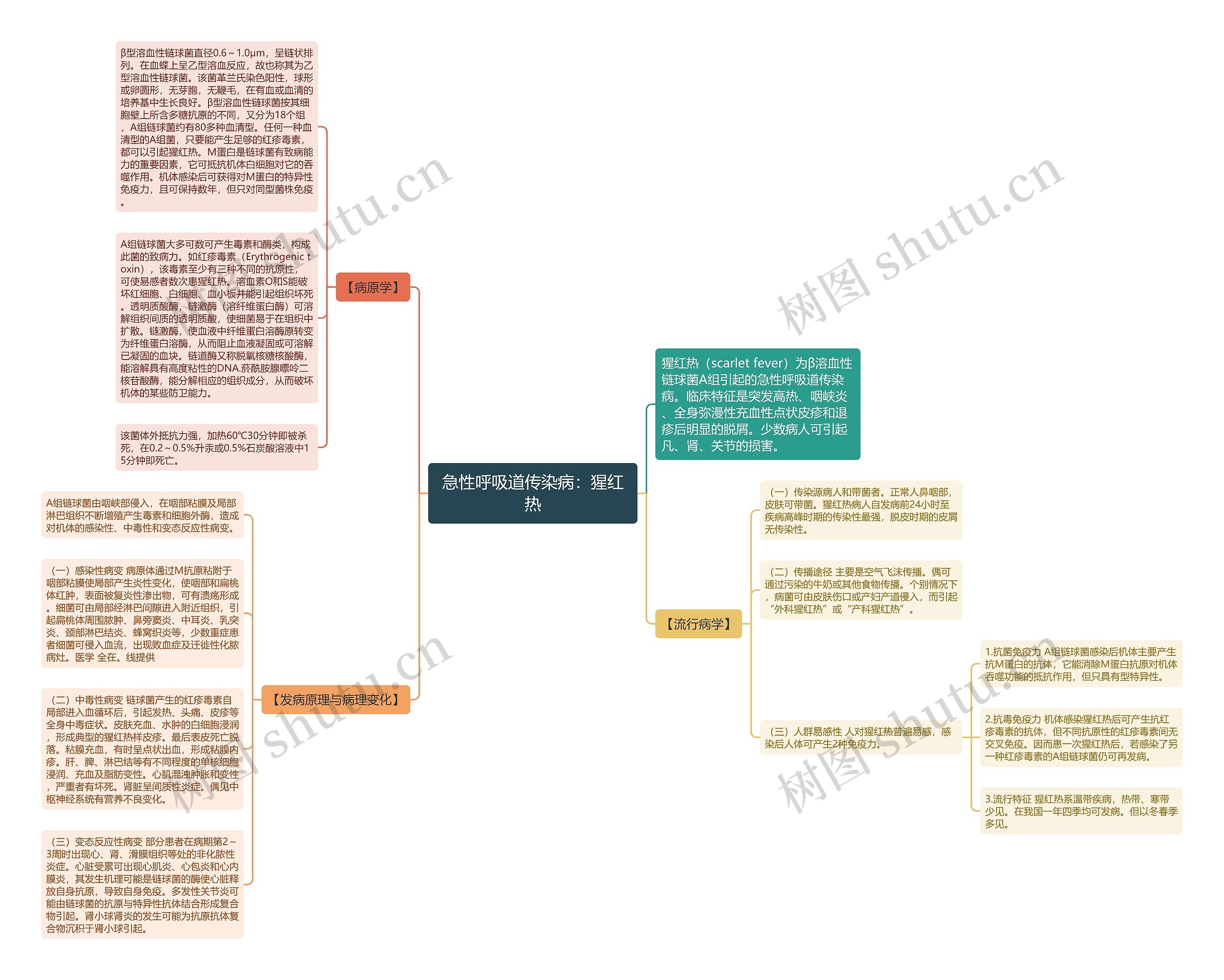 急性呼吸道传染病：猩红热思维导图