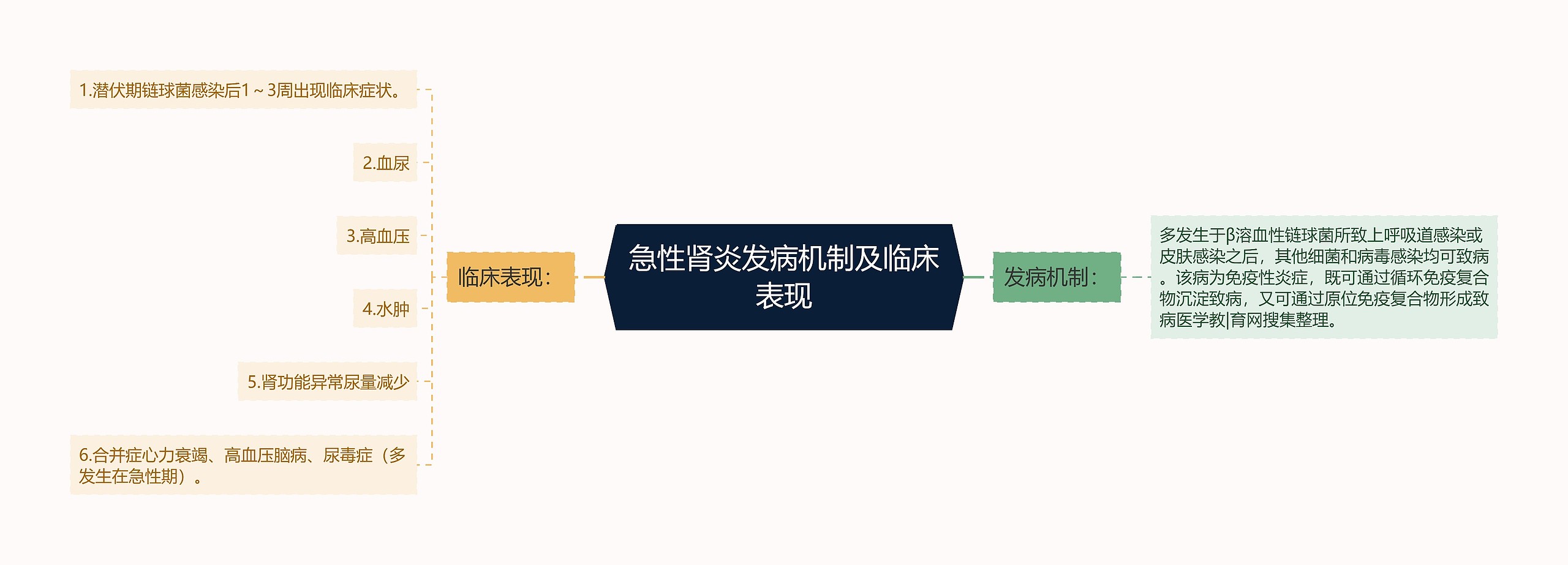 急性肾炎发病机制及临床表现