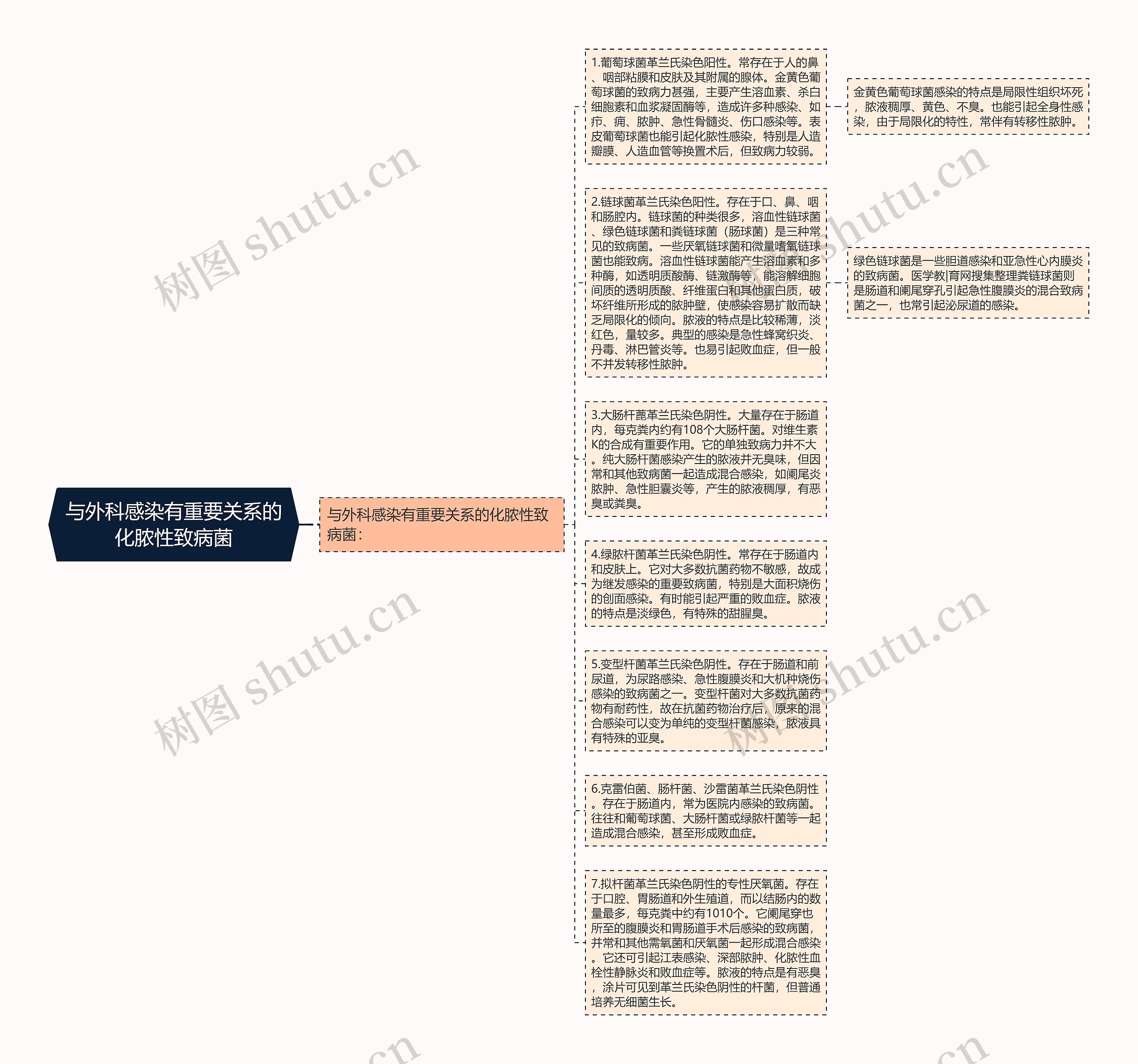 与外科感染有重要关系的化脓性致病菌思维导图