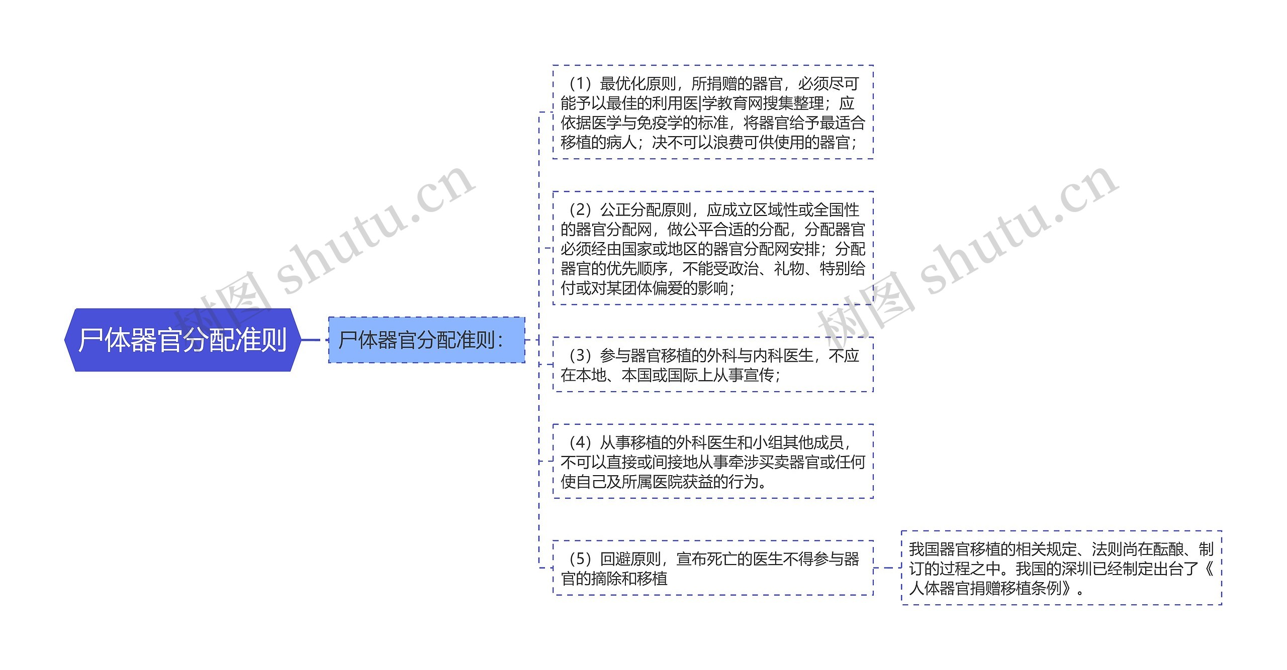 尸体器官分配准则思维导图