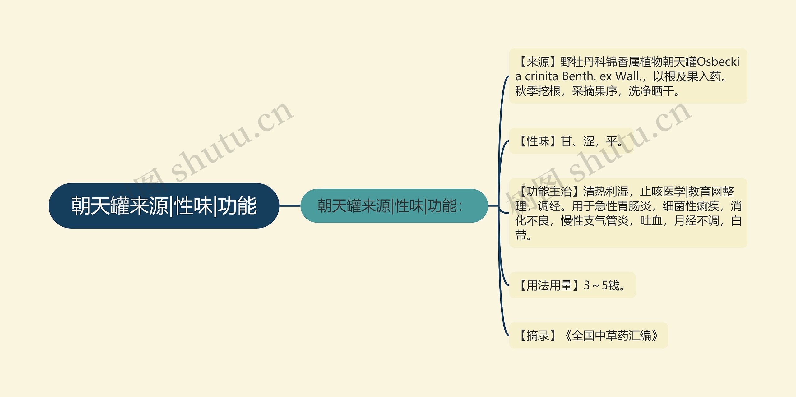 朝天罐来源|性味|功能思维导图