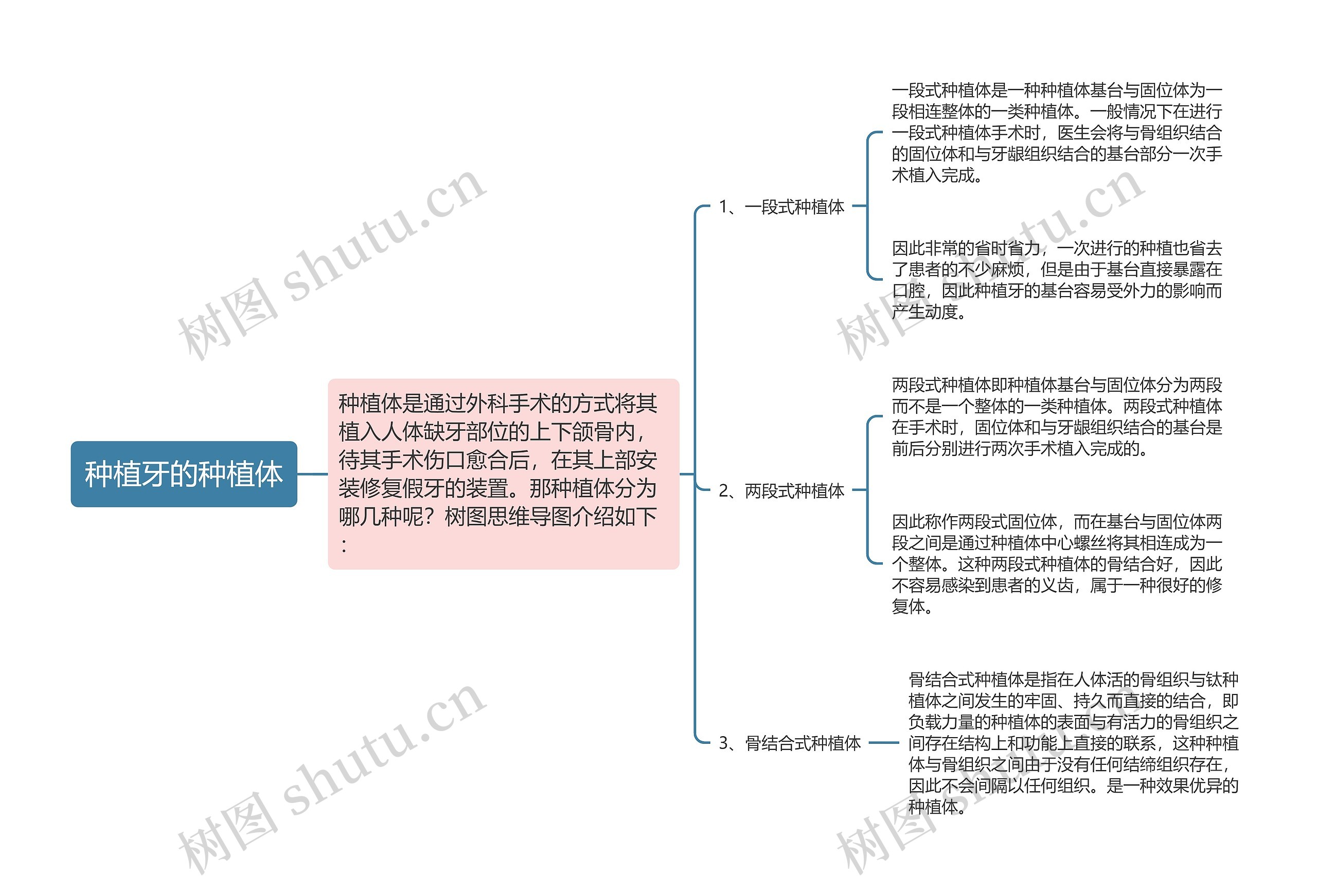 种植牙的种植体 种植牙的种植体