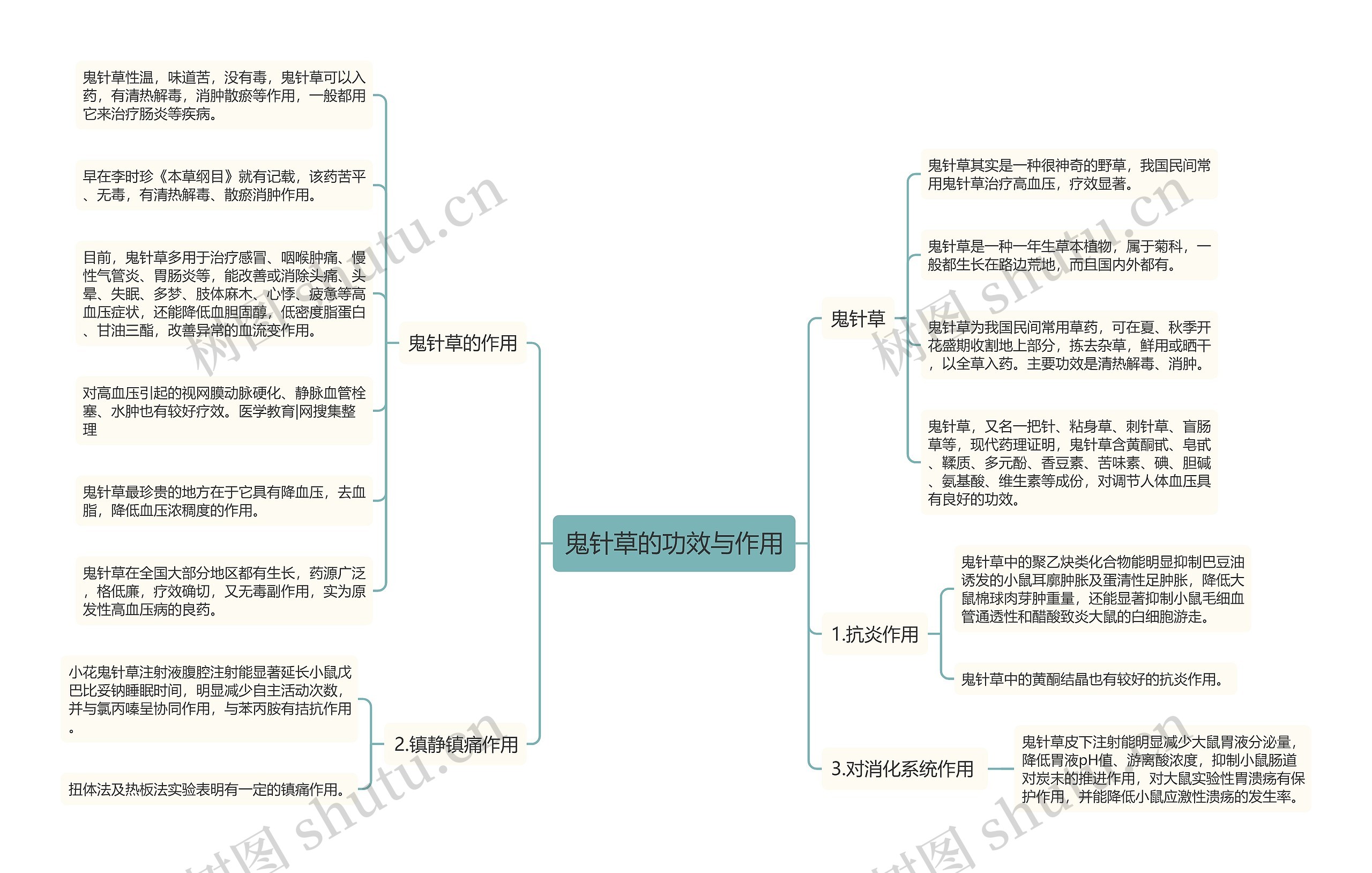 鬼针草的功效与作用