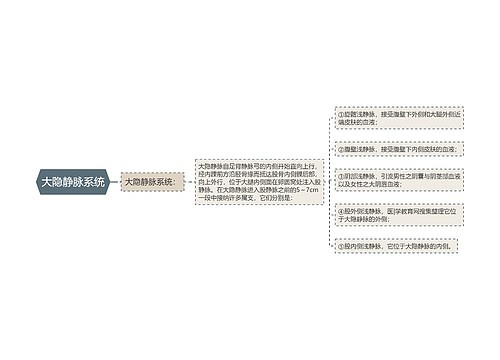 大隐静脉系统