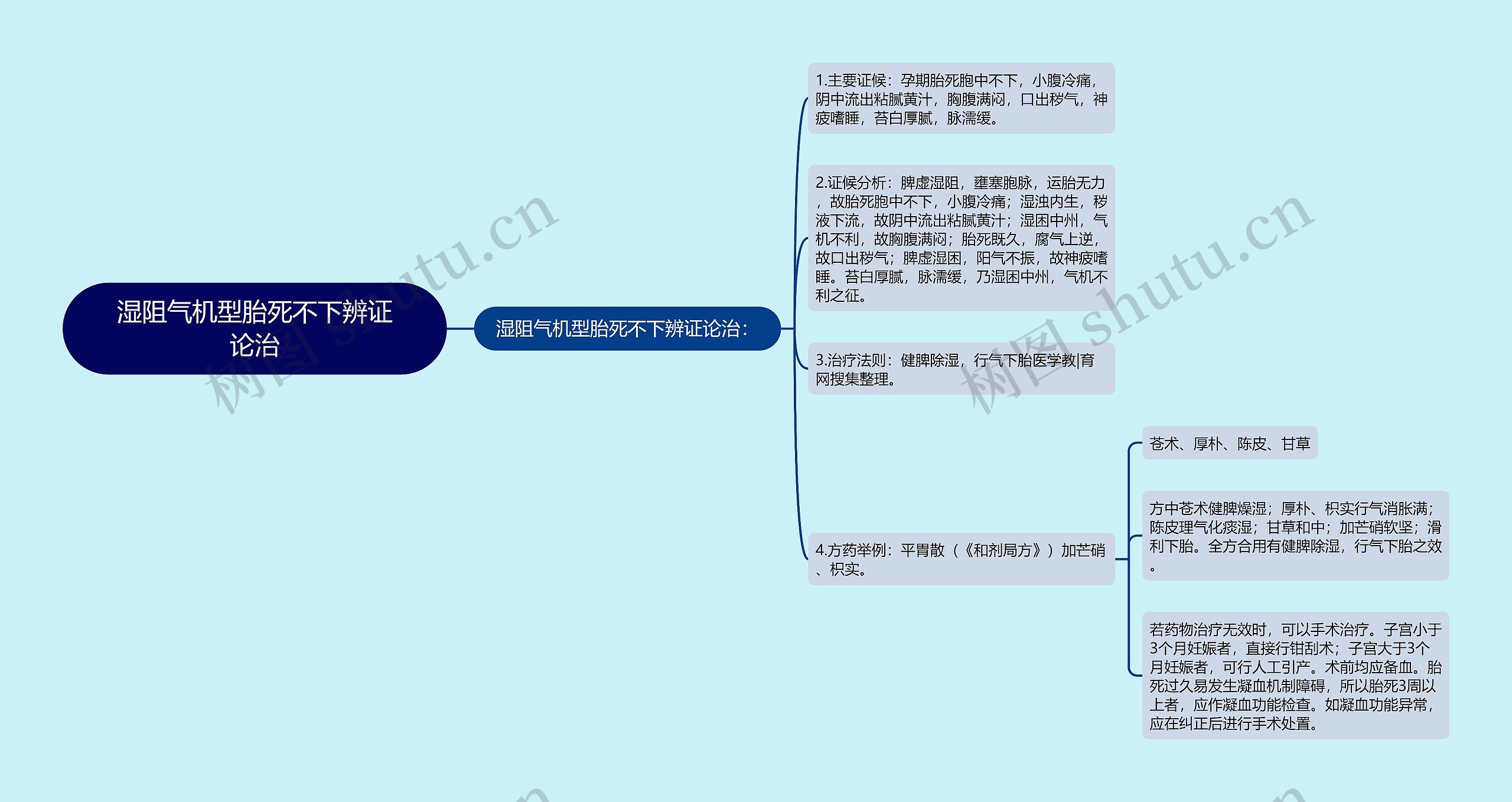 湿阻气机型胎死不下辨证论治思维导图