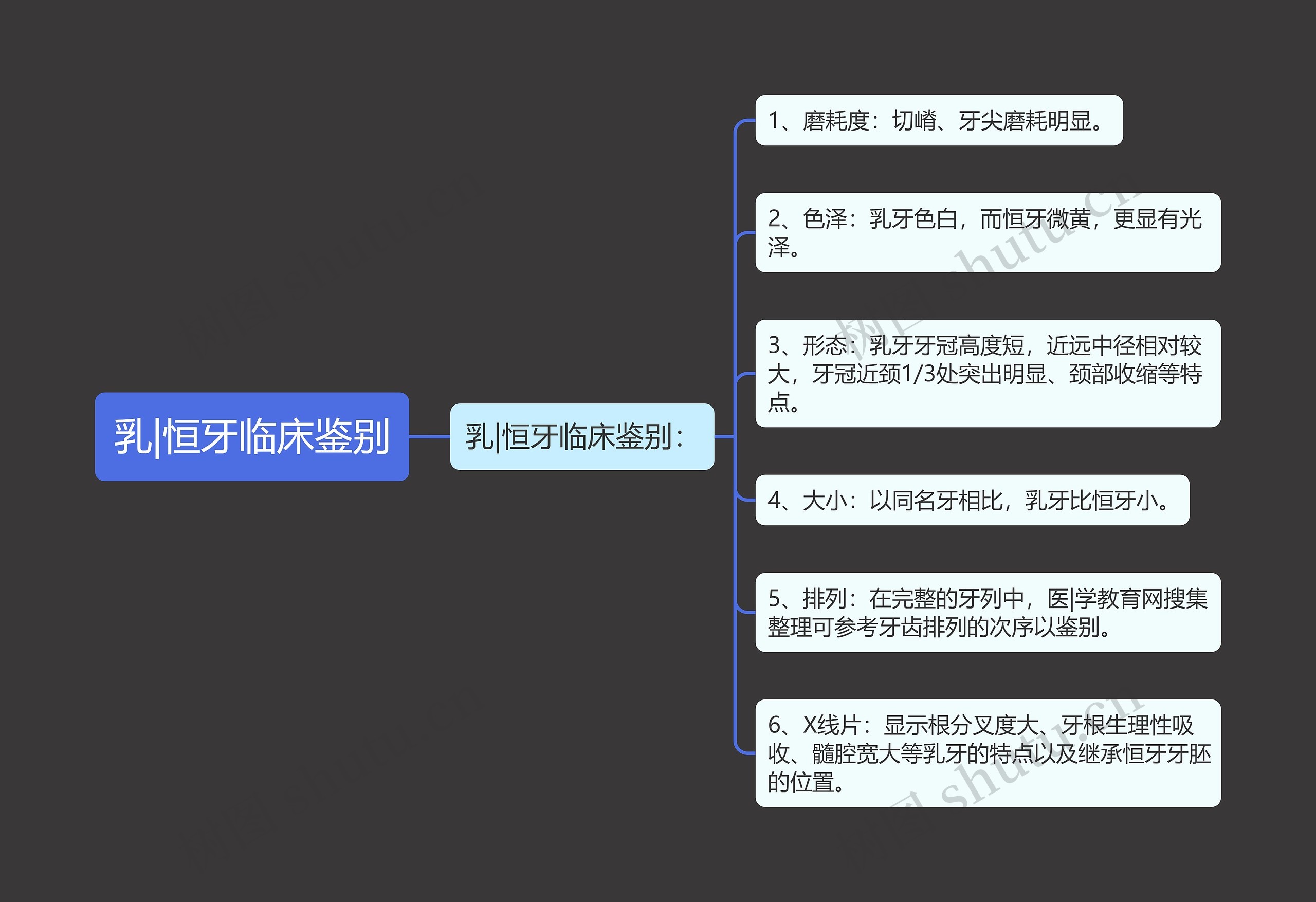 乳|恒牙临床鉴别 乳|恒牙临床鉴别