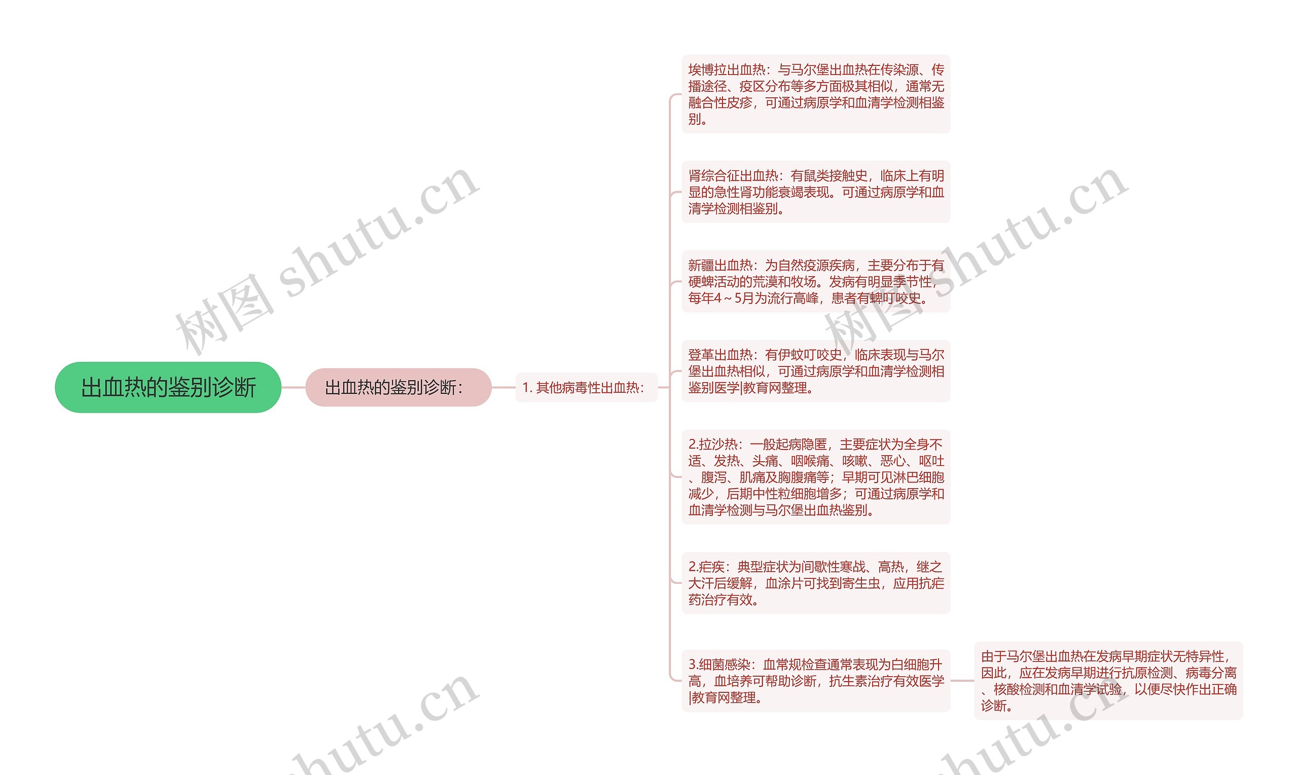 出血热的鉴别诊断思维导图