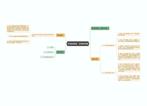牙齿的组成、分类和功能