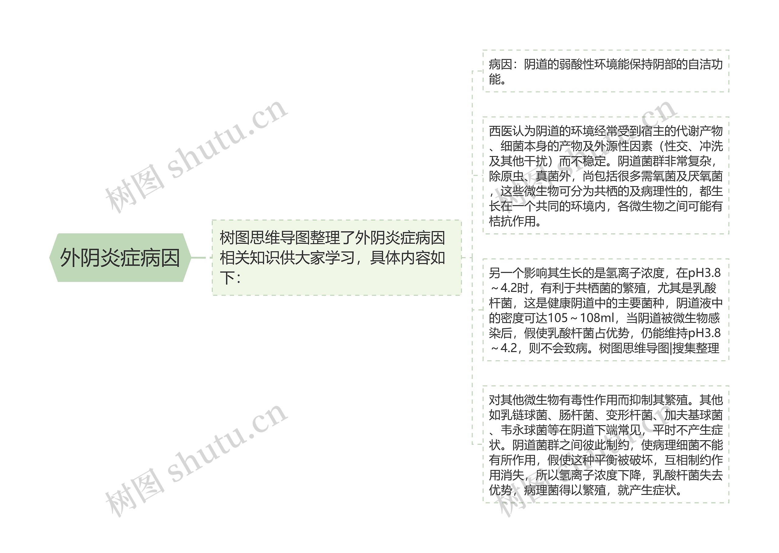 外阴炎症病因思维导图