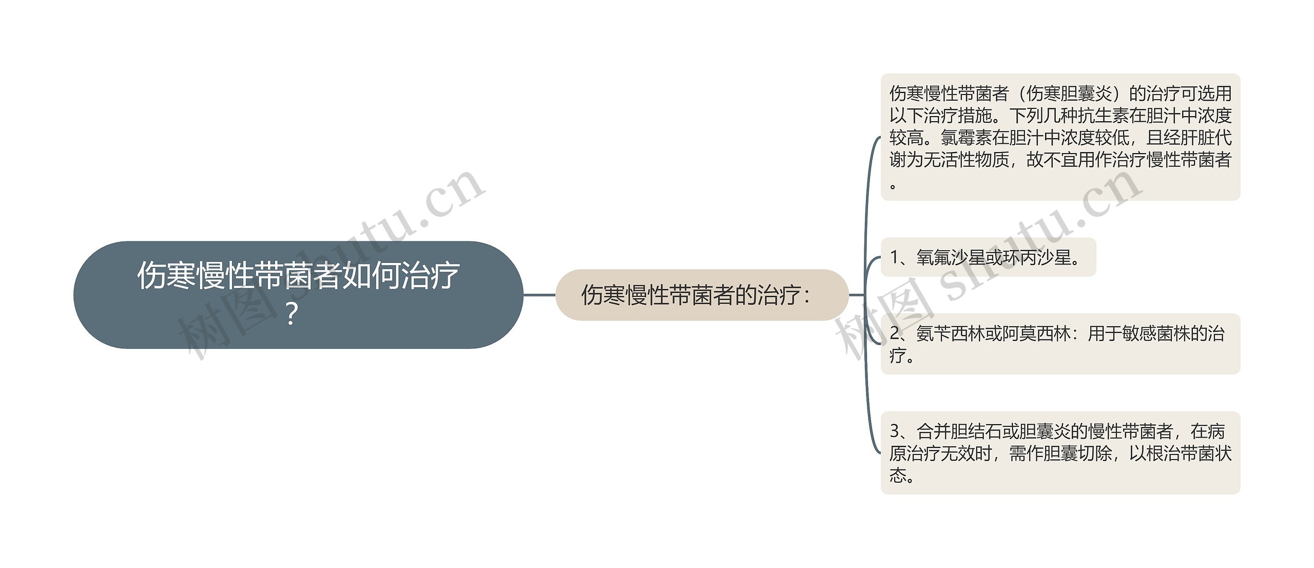 伤寒慢性带菌者如何治疗？