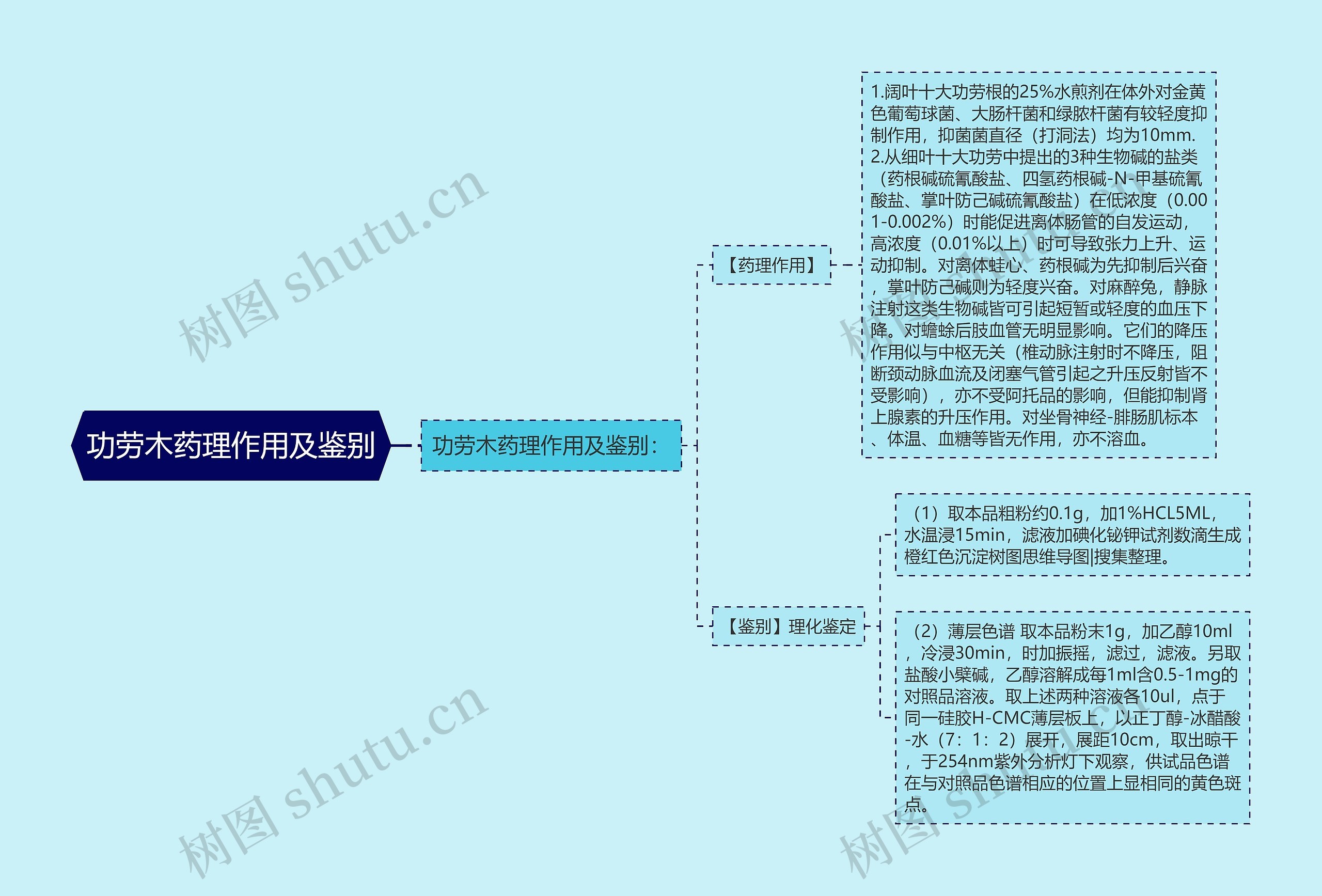 功劳木药理作用及鉴别