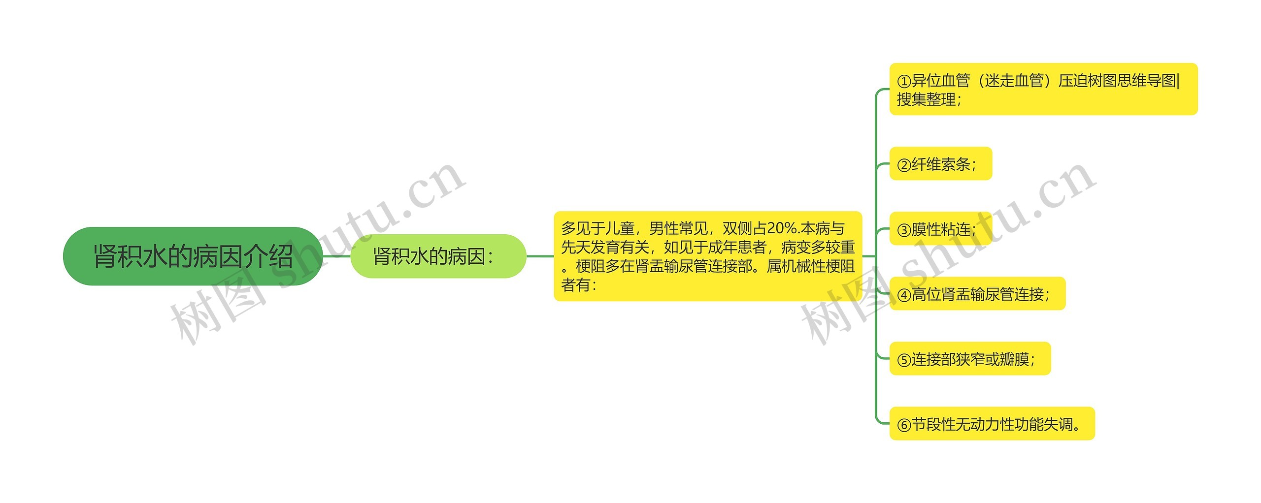 肾积水的病因介绍思维导图