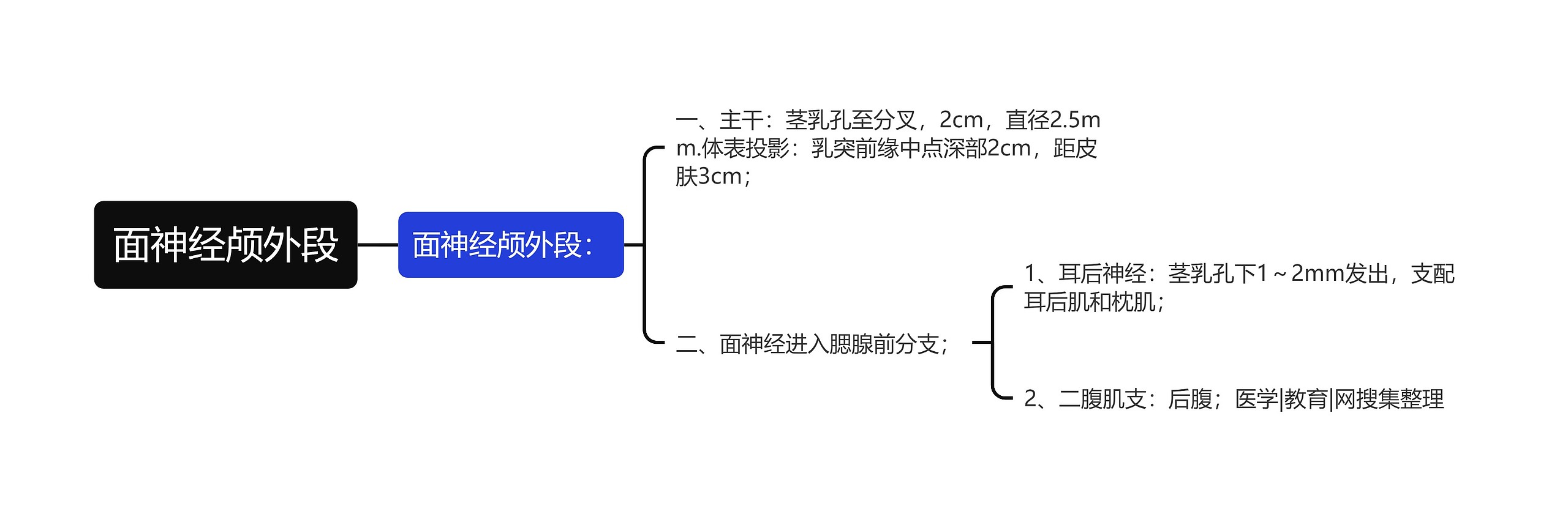 面神经颅外段