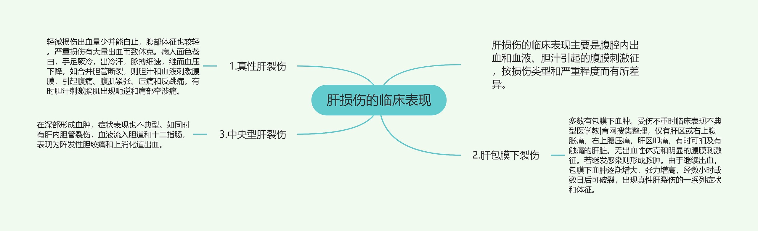 肝损伤的临床表现思维导图