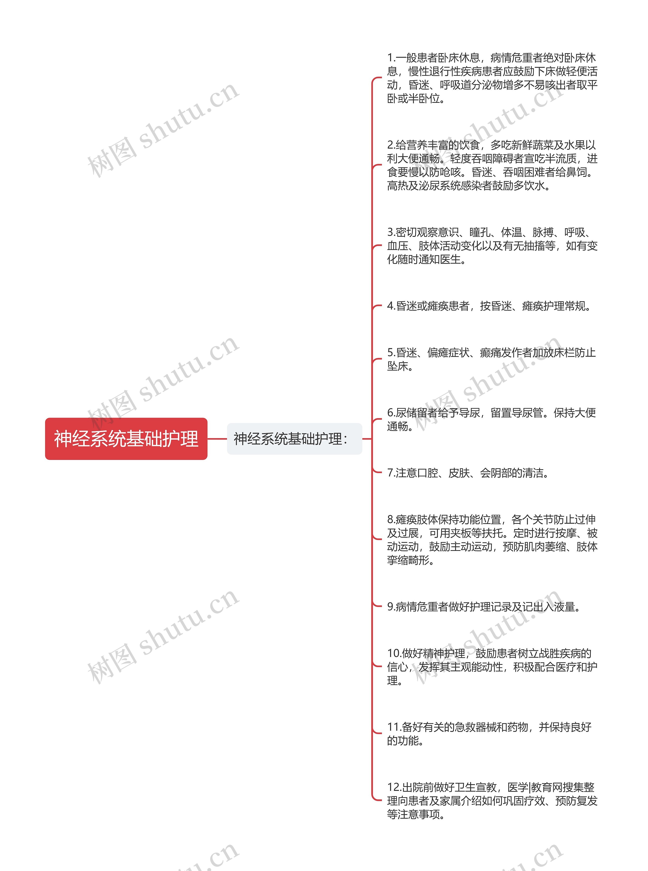 神经系统基础护理 神经系统基础护理