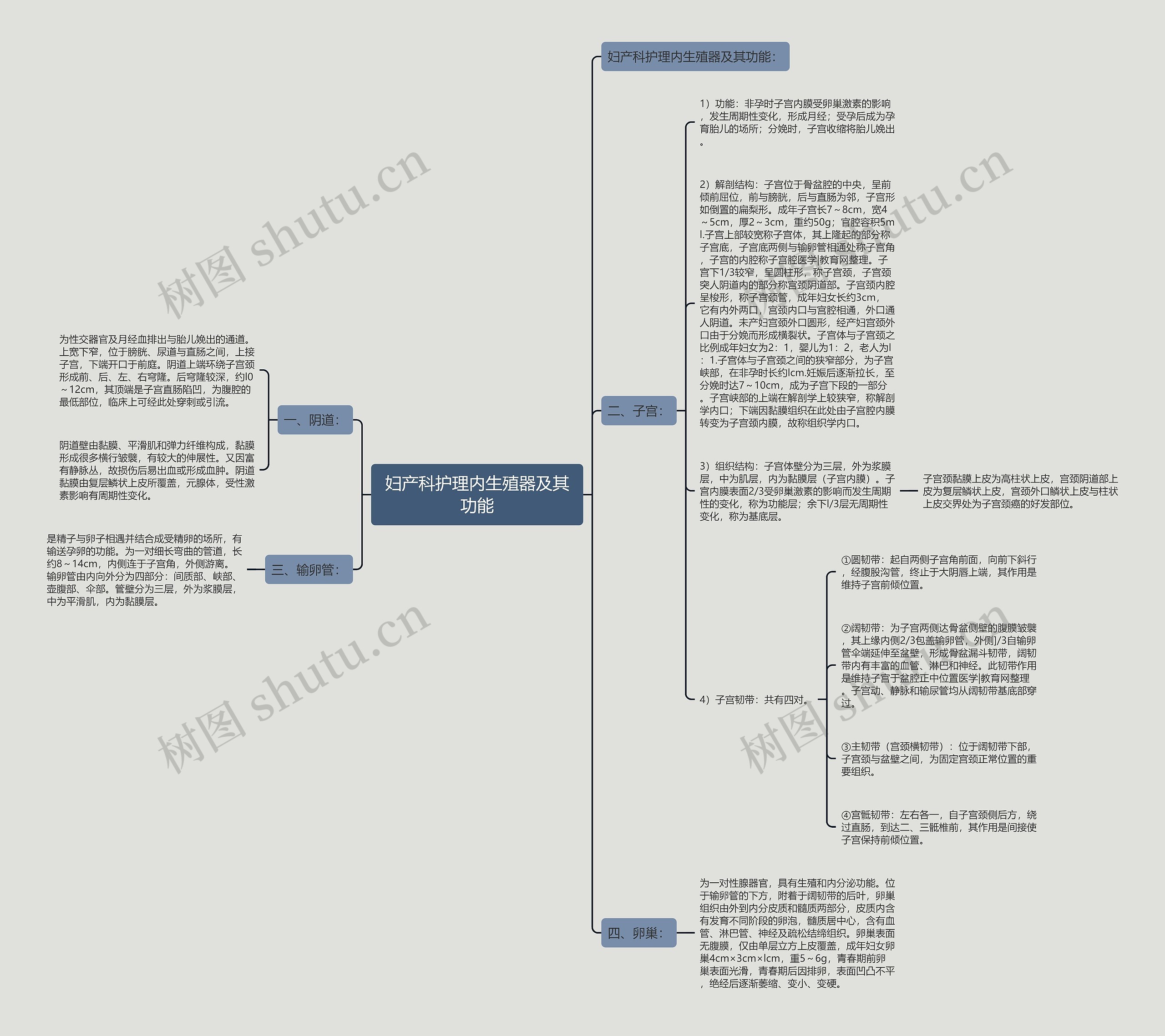 妇产科护理内生殖器及其功能 妇产科护理内生殖器及其功能